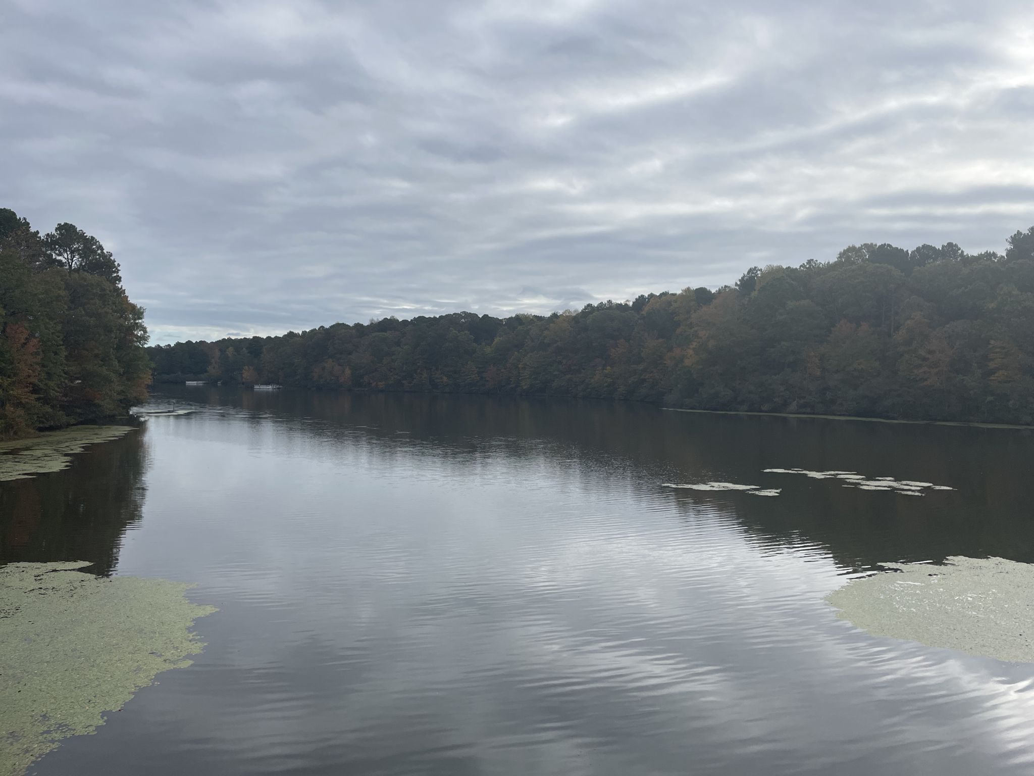 Calm lake surrounded by dense forest under a cloudy, overcast sky. - Running loop from Tribble Mill RC & D Lake Dam