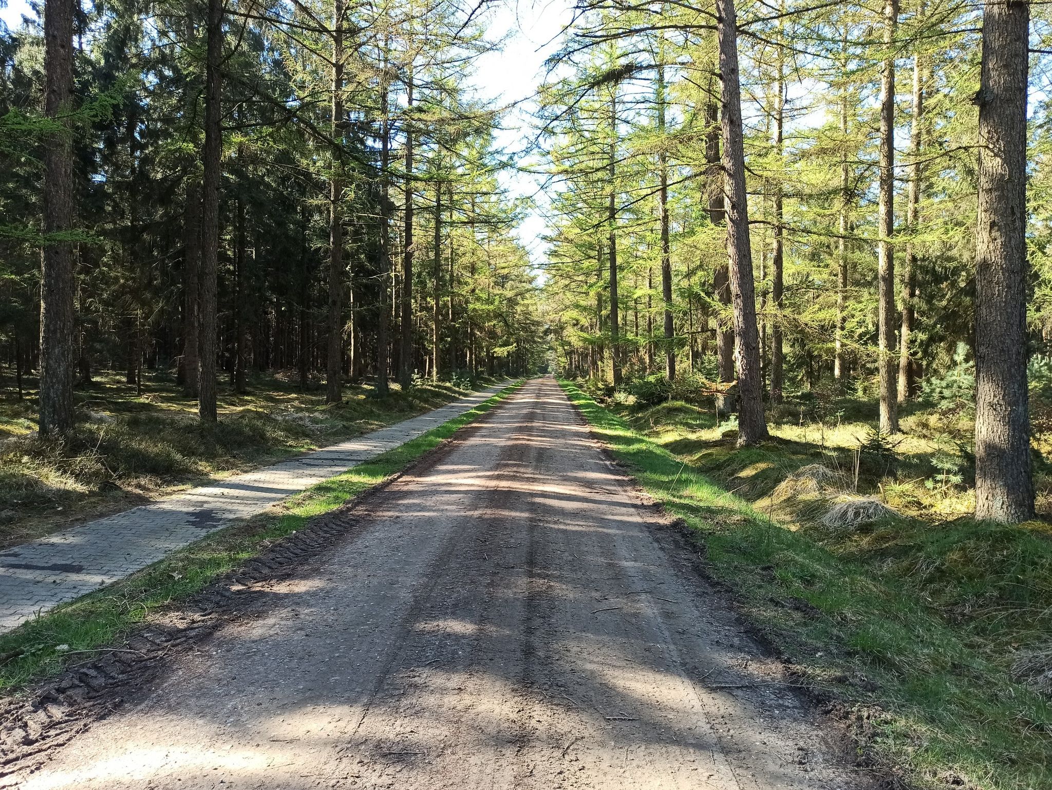 Herzog-Arenberg-Straße