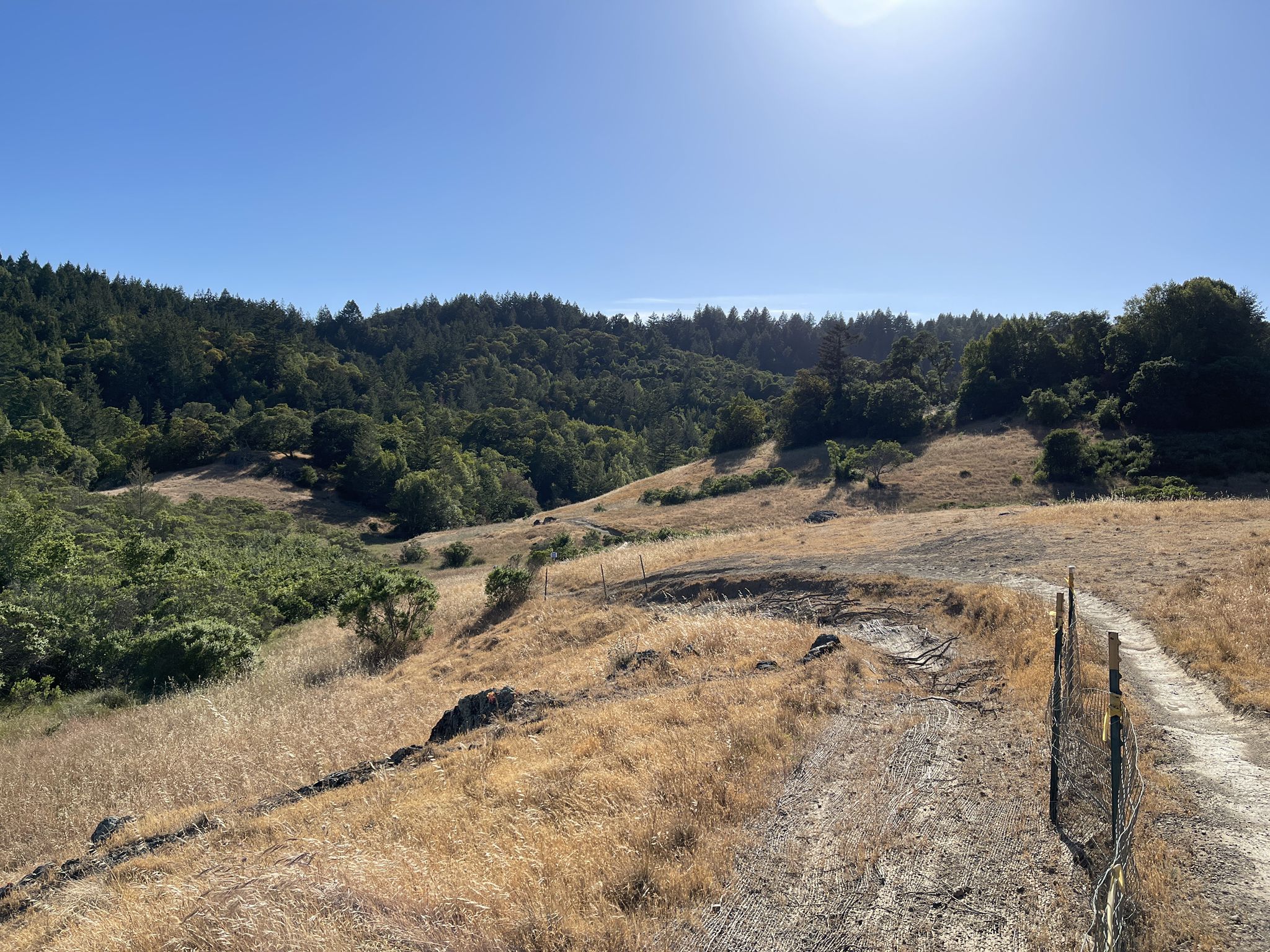 Sunny view of dry grassy hills, green trees, and a dirt path. - Cascade Drive & Iron Springs Road loop