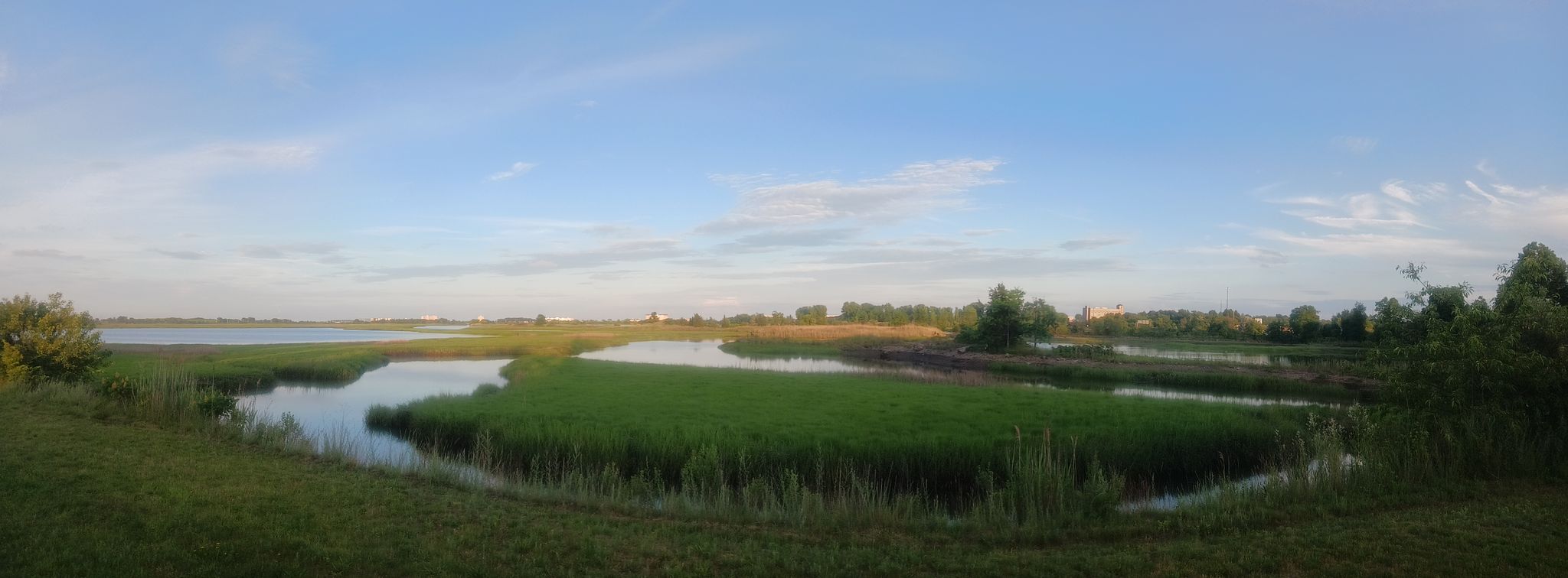 Panoramic wetland view with green reeds, water, and a partly cloudy sky. - Northern Strand Community Trail