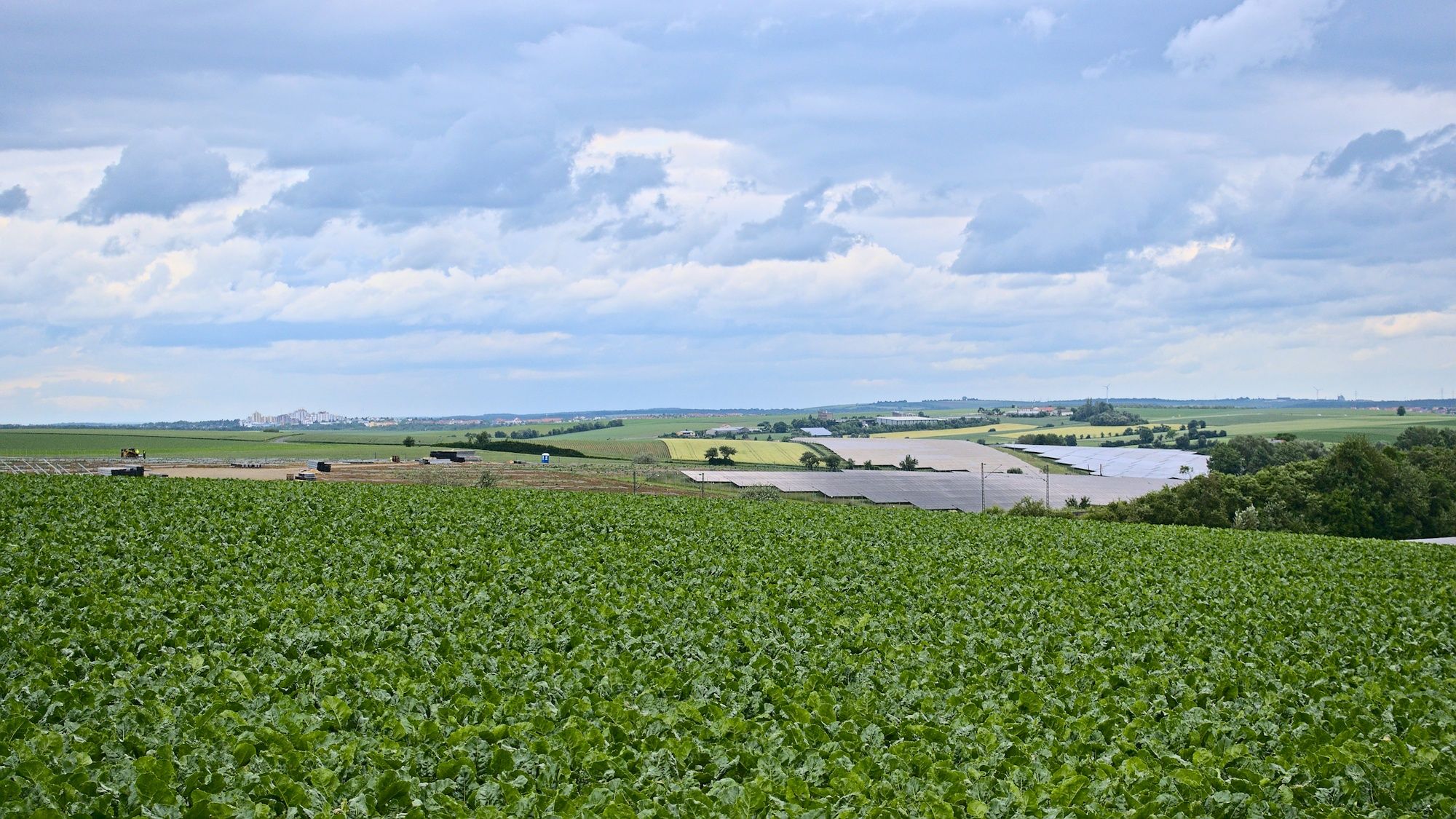 Blick über den Solarpark und nach Heuchelhof