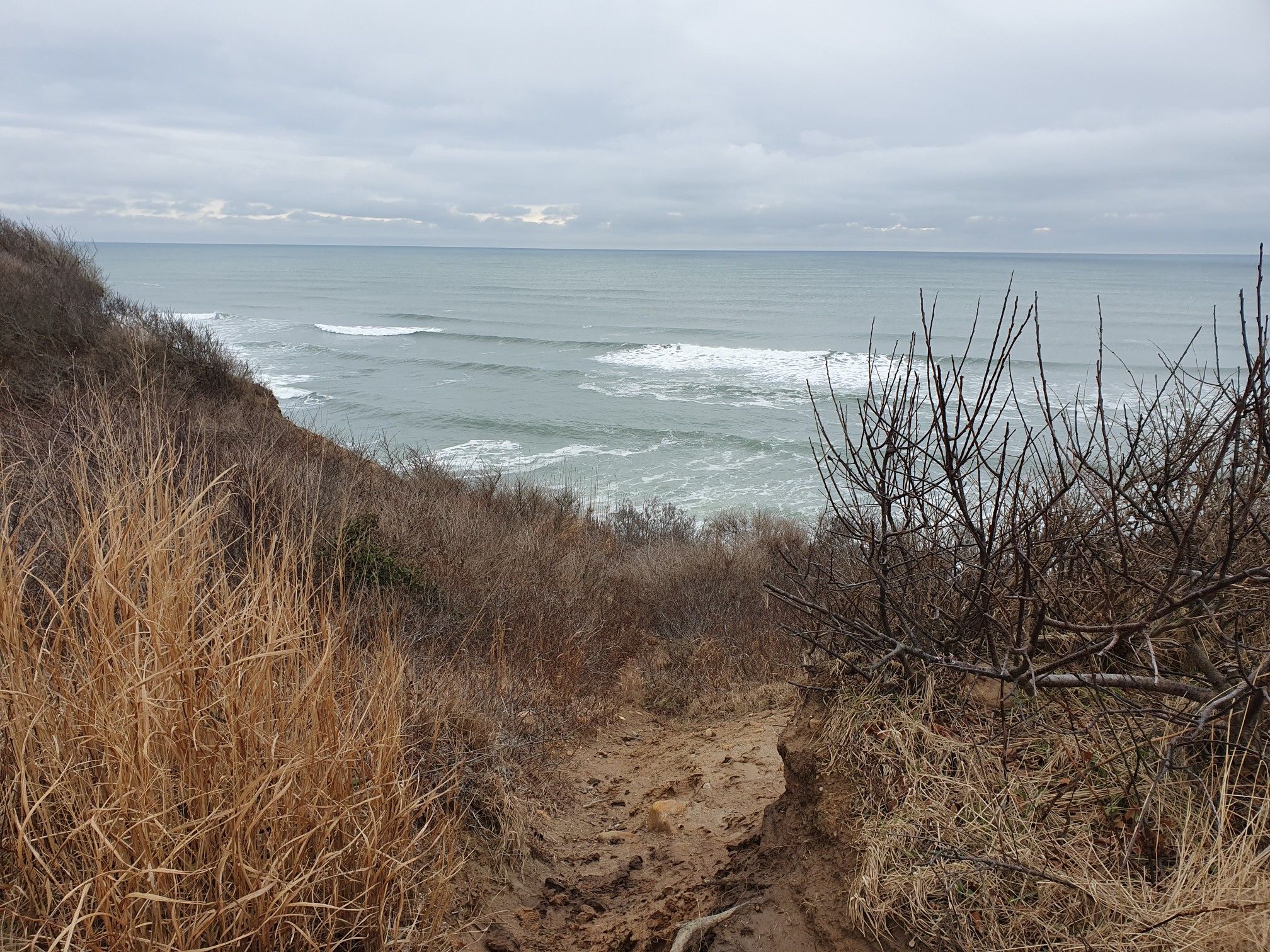 Overcast view of ocean waves from a sandy path on a vegetated cliff. - Paumanok Path to Kings Point Bluff Overlook