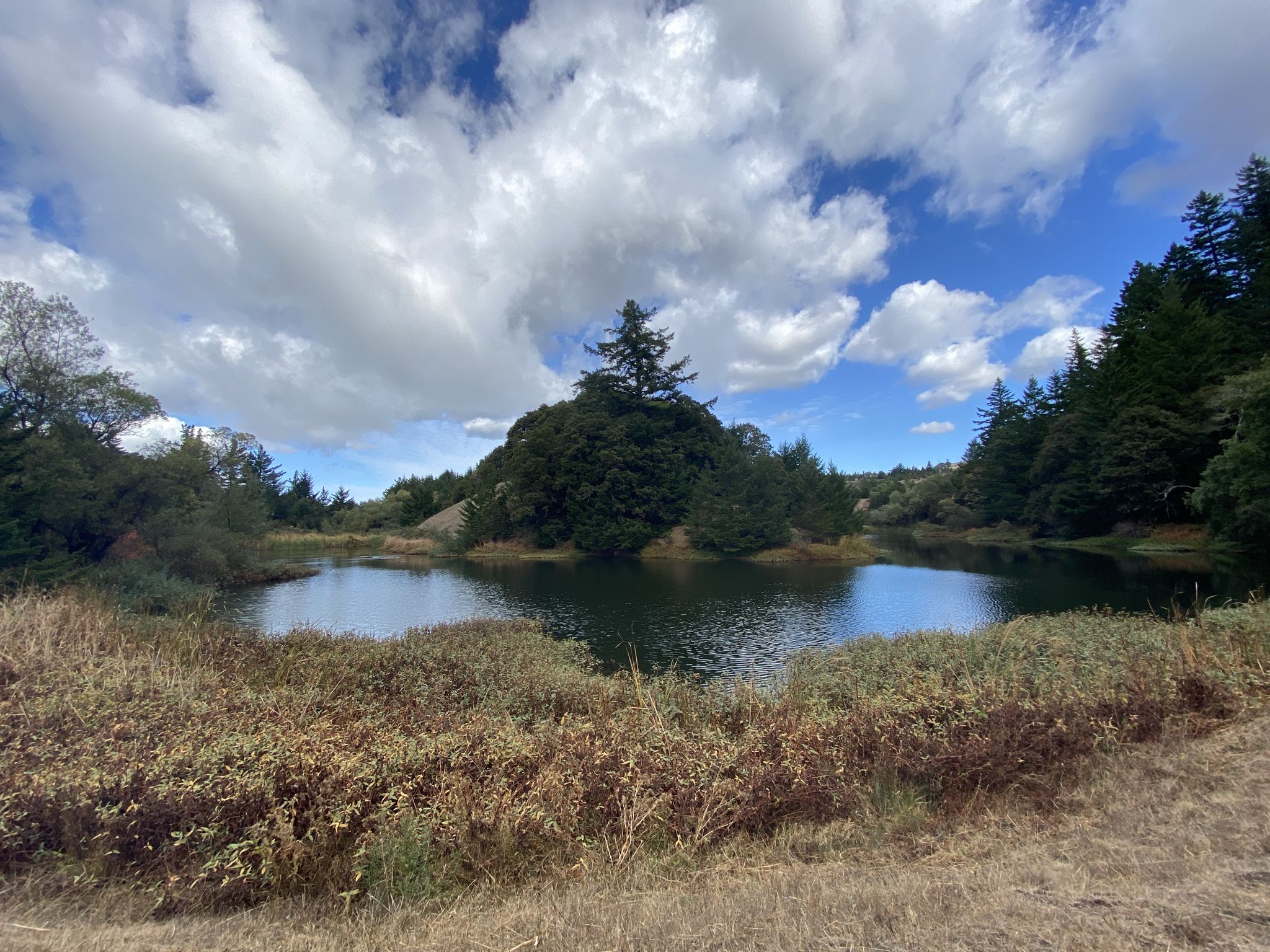 A tranquil lake surrounded by trees and dry grass under a partly cloudy sky. - Turtle Rock Viewpoint – White Oak Trail loop from Long Ridge Open Space Preserve