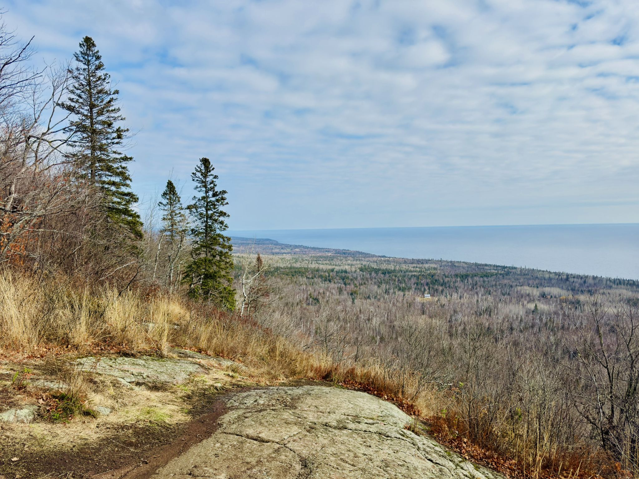 Rocky outcrop with pine trees overlooking distant water under a cloudy sky. - Oberg Mountain Loop