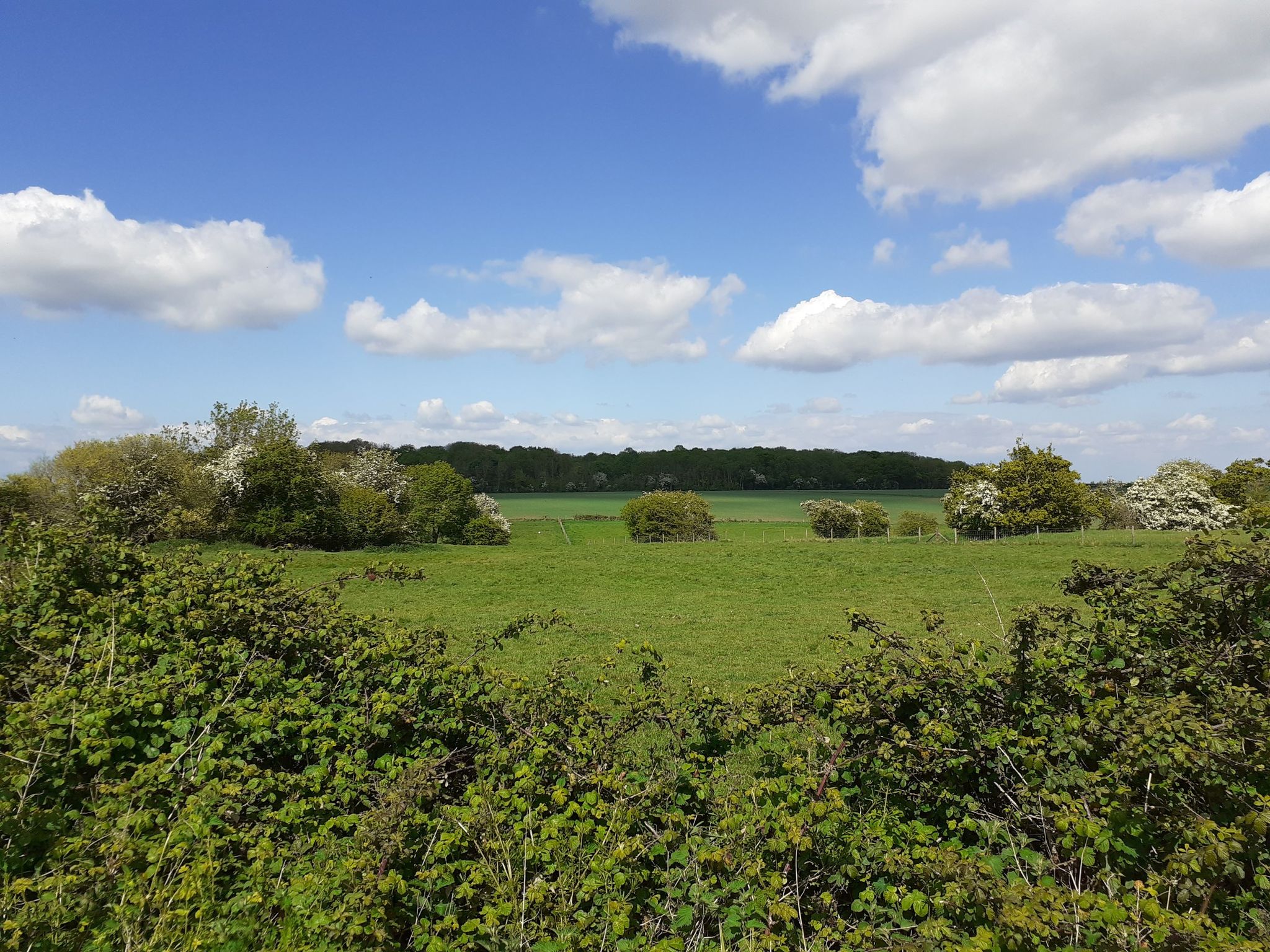 The site of the Anglo Saxon settlement of Washingley.