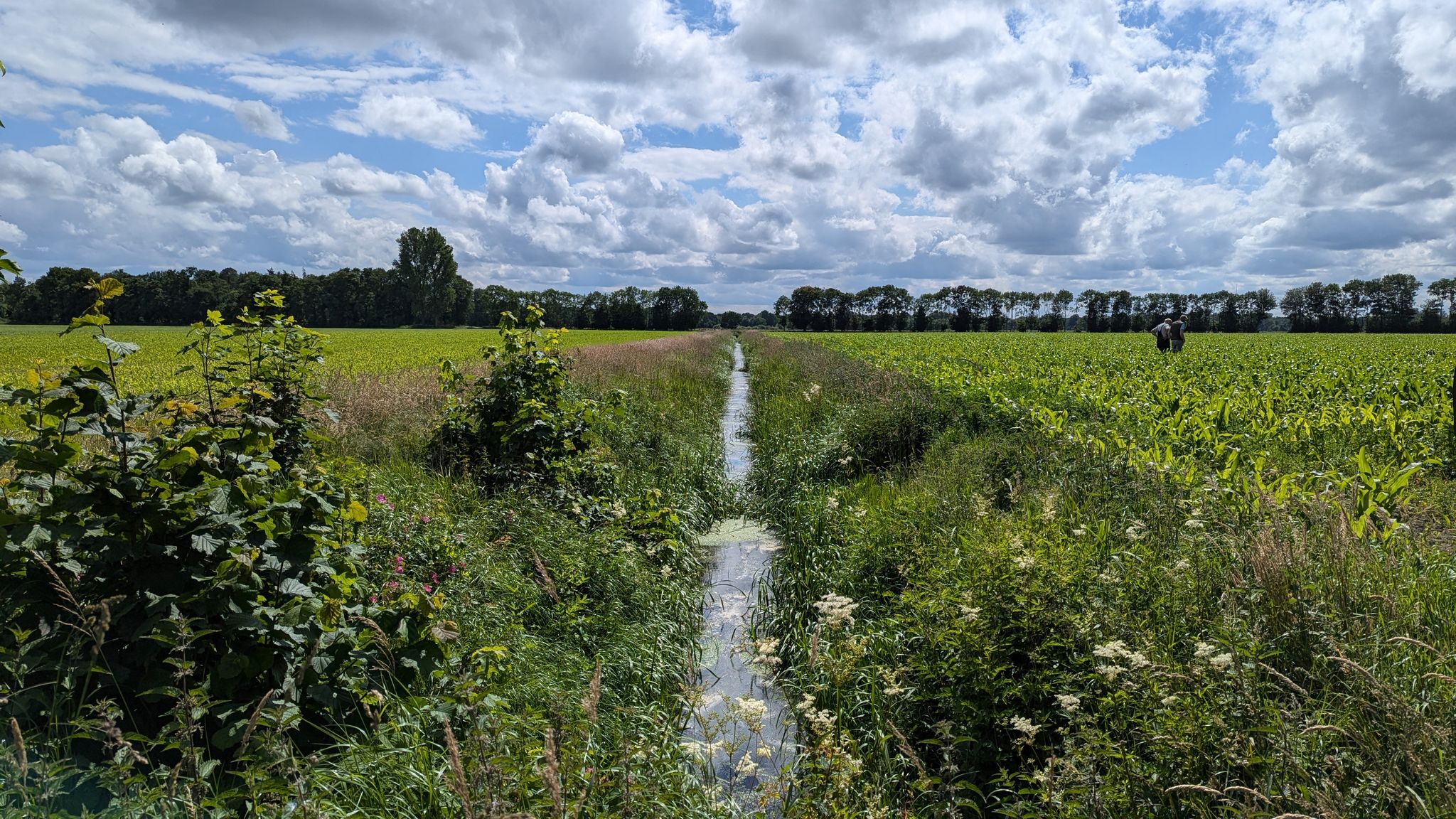Logenstreek