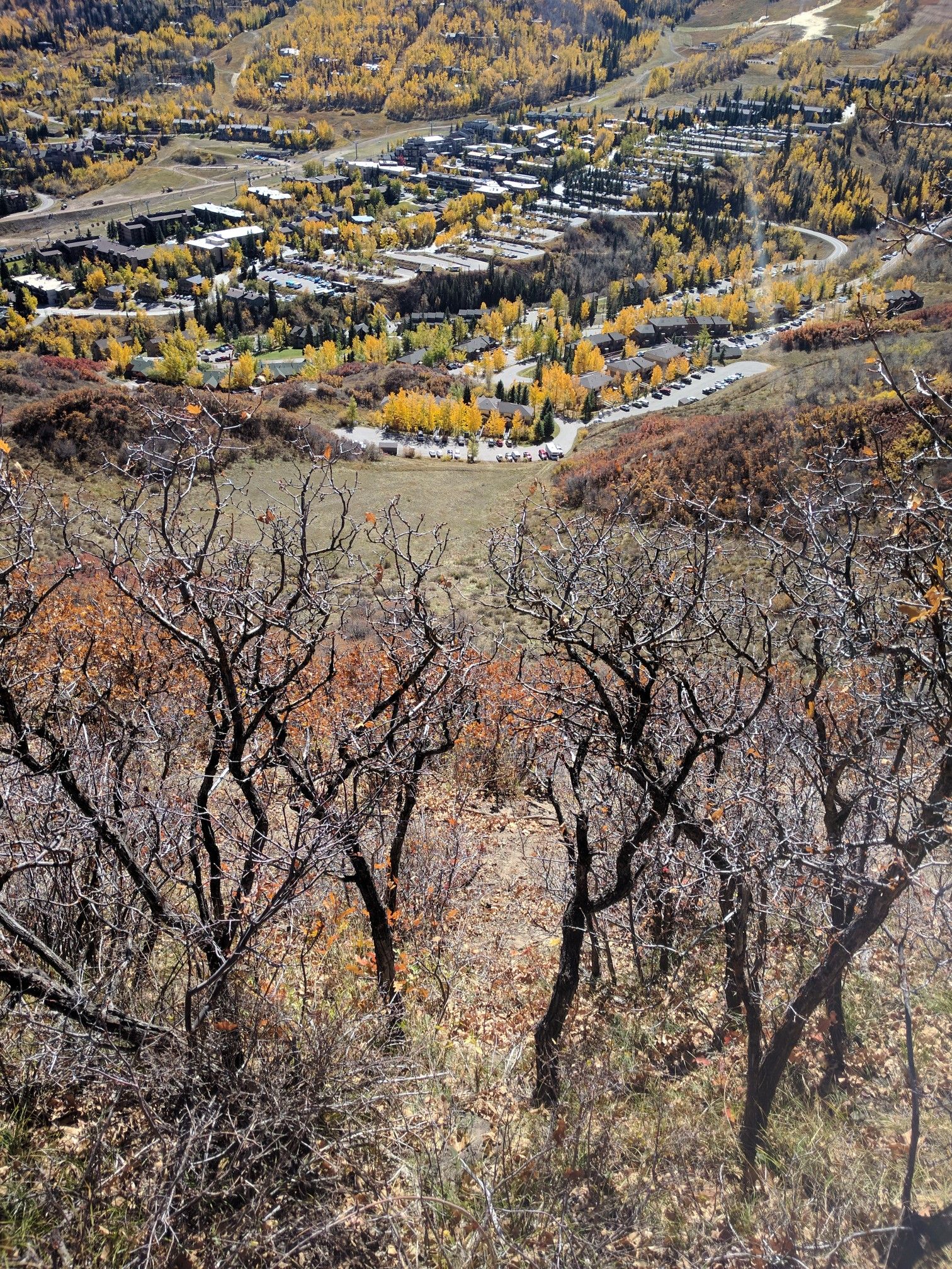 Bare trees frame a view of buildings and autumn foliage in a valley below. - Spiral Point – Rim Trail (Aspen) loop from Snowmass Village