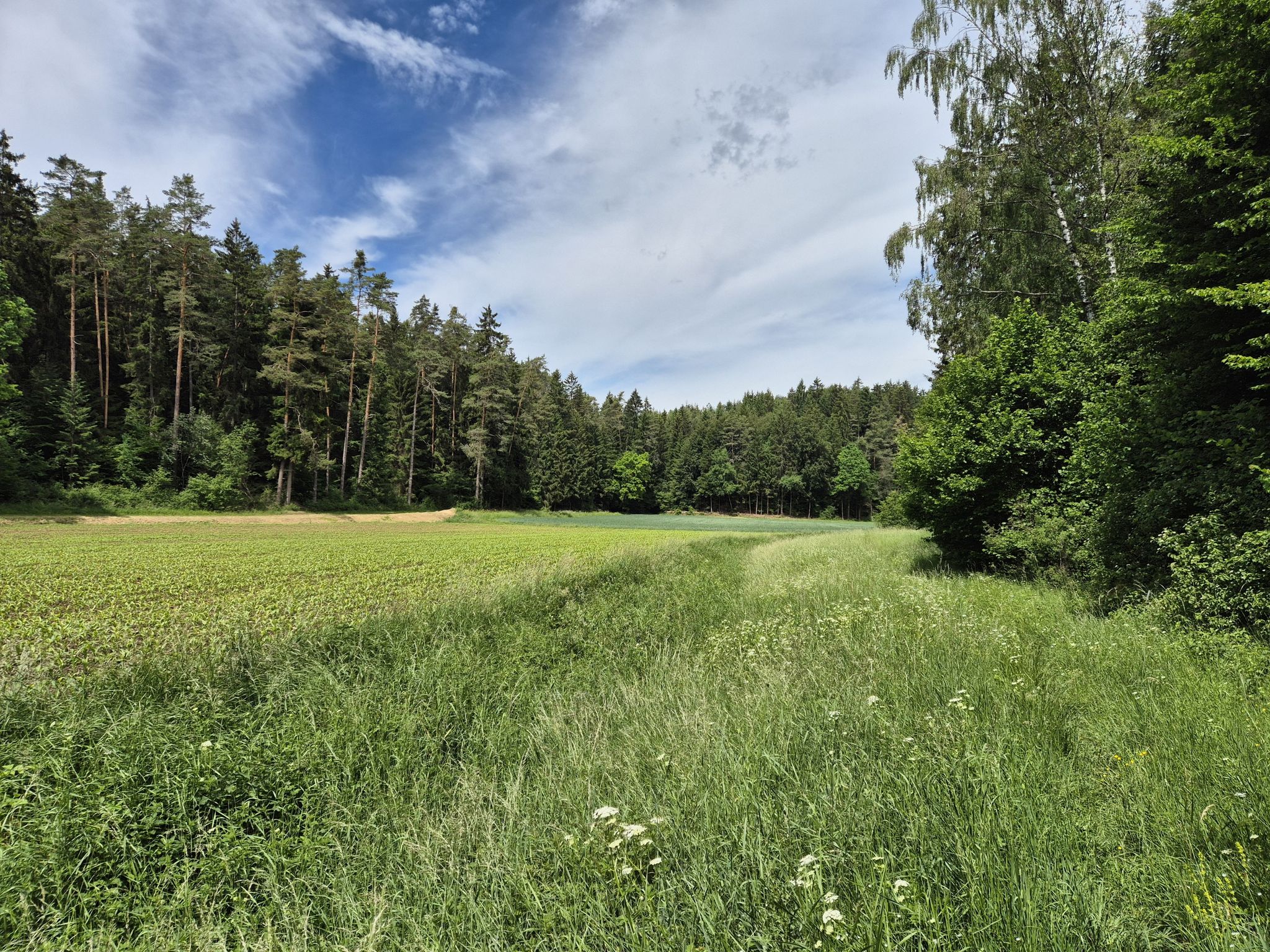 Im Pürschlger Tal