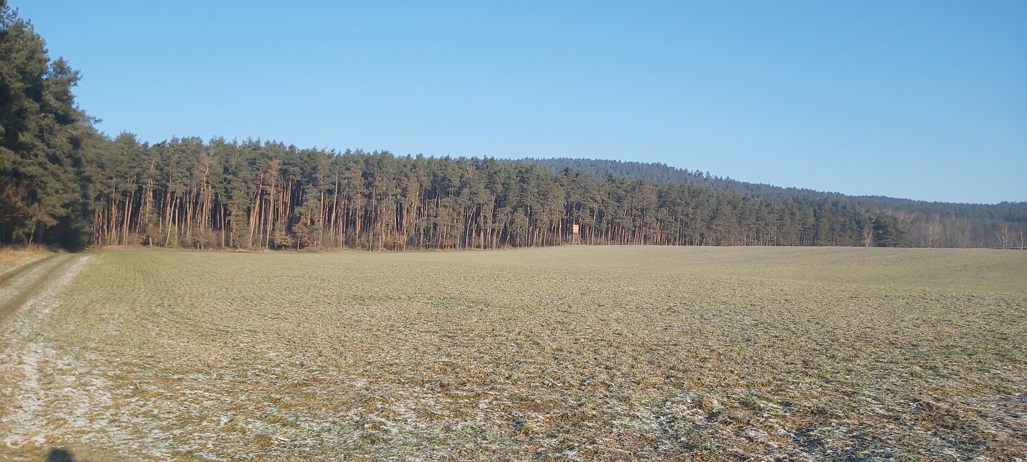 wald