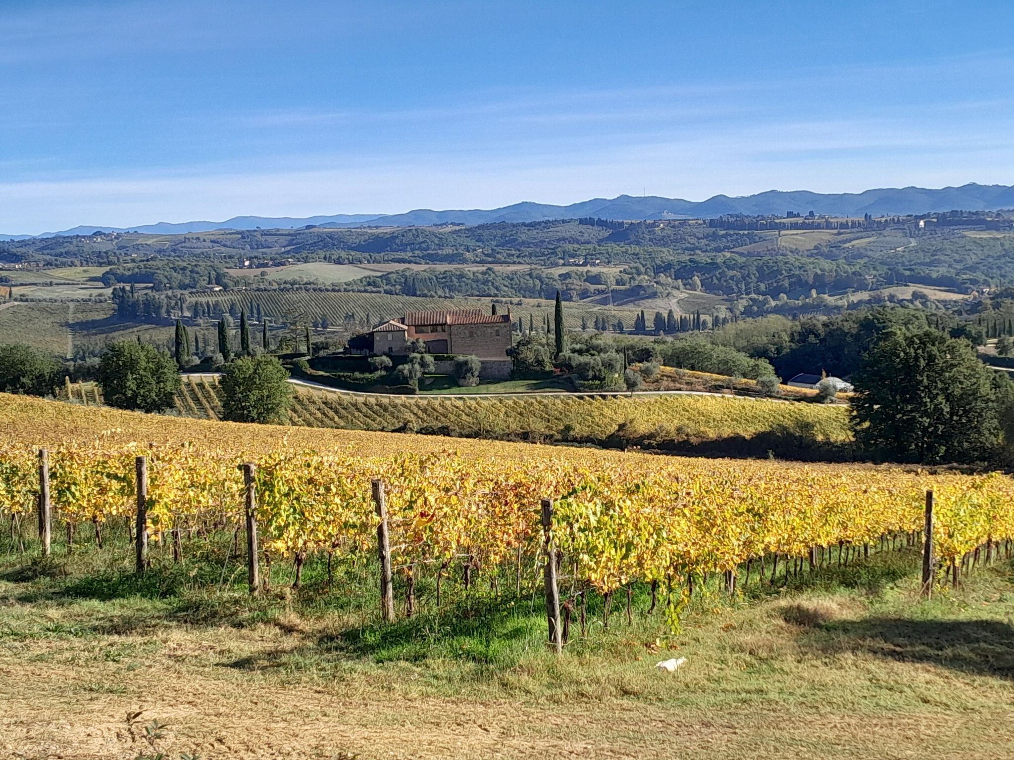 Panorama sulle Colline Senesi da Le Tolfe