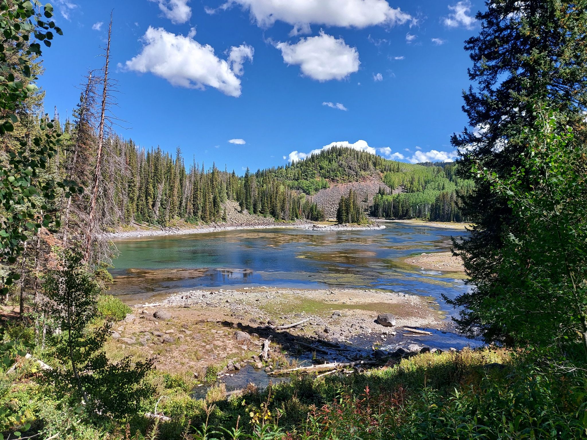 Bright day over a wide river surrounded by dense evergreen forests and hills. - Mesa Lake Shore Trail