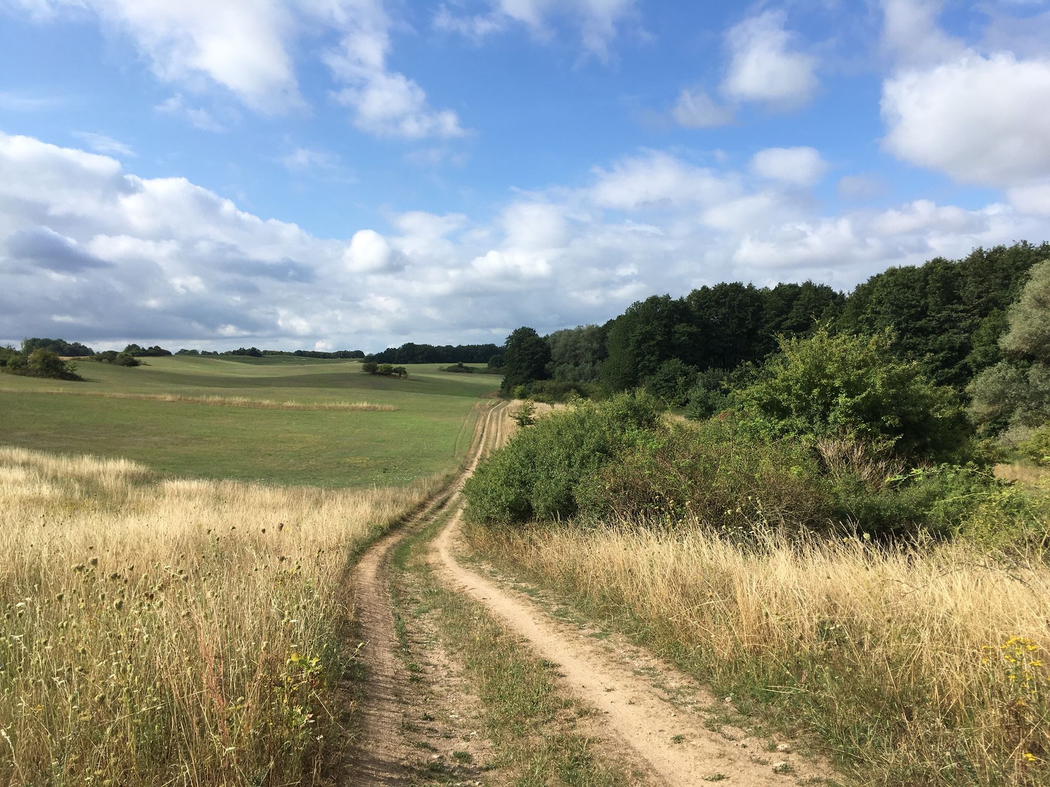 Uferweg Breiter Luzin