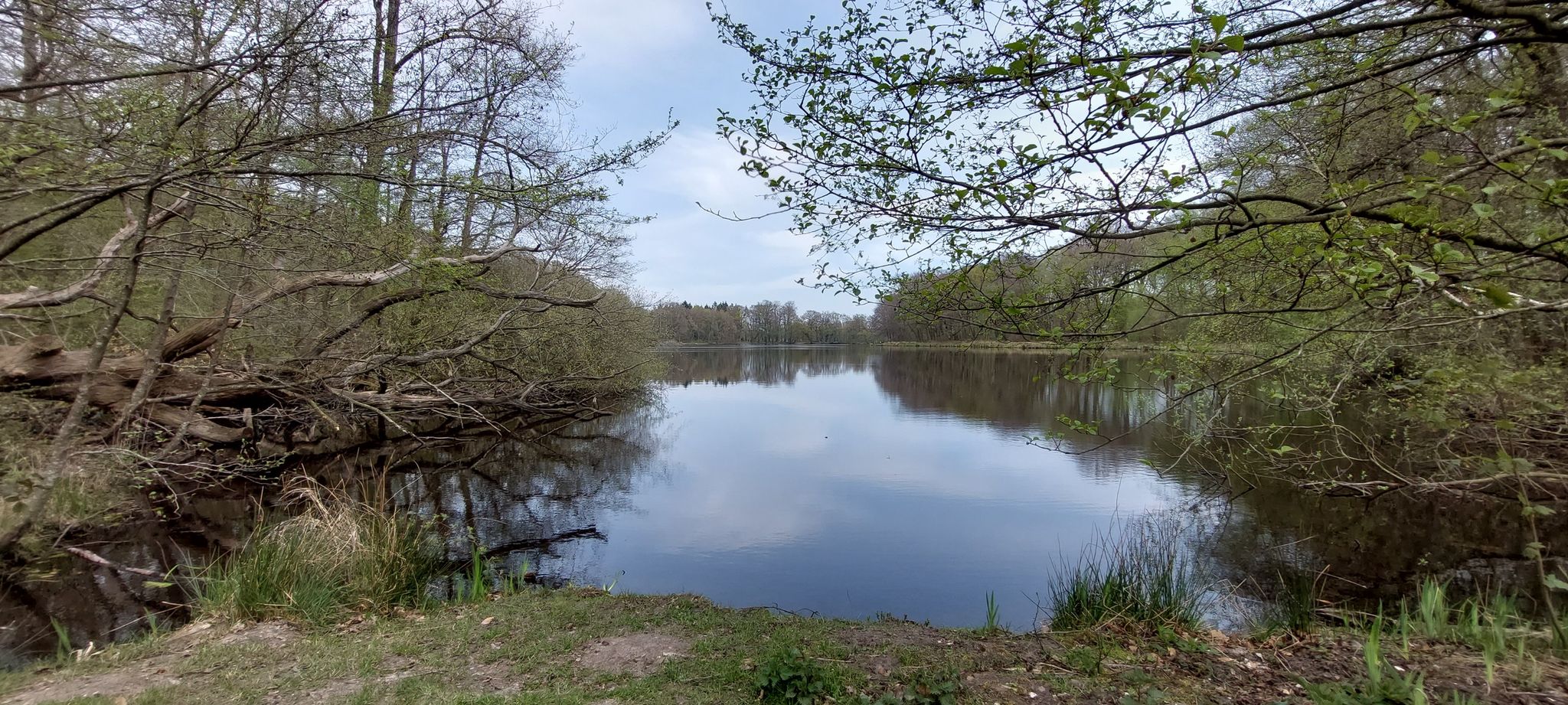 Mühlenteich