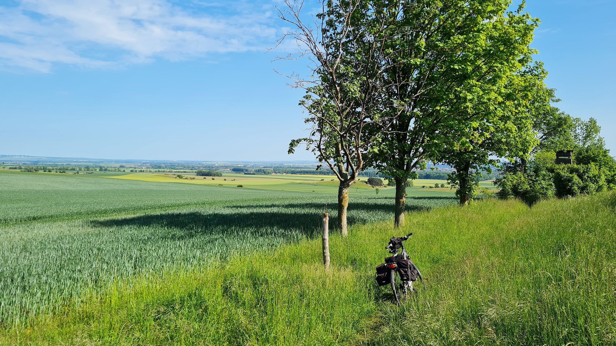 statt Landstraße: auf dem Pilgerpfad vom Huygipfel nach Halberstadt