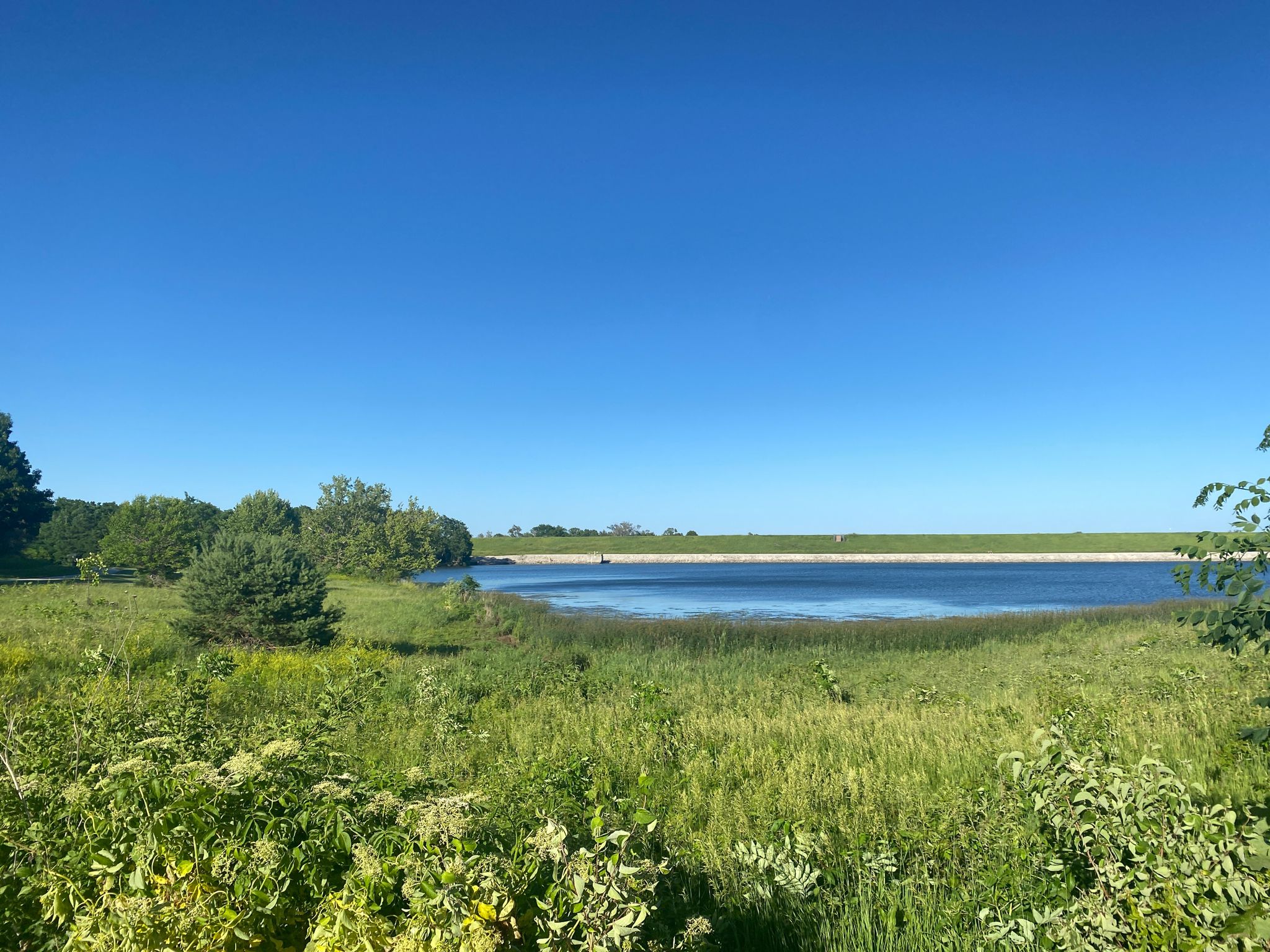Bright blue sky over a lake with lush green foreground and trees. - West Papio Creek Bridge – Zorinsky Dam loop from Douglas