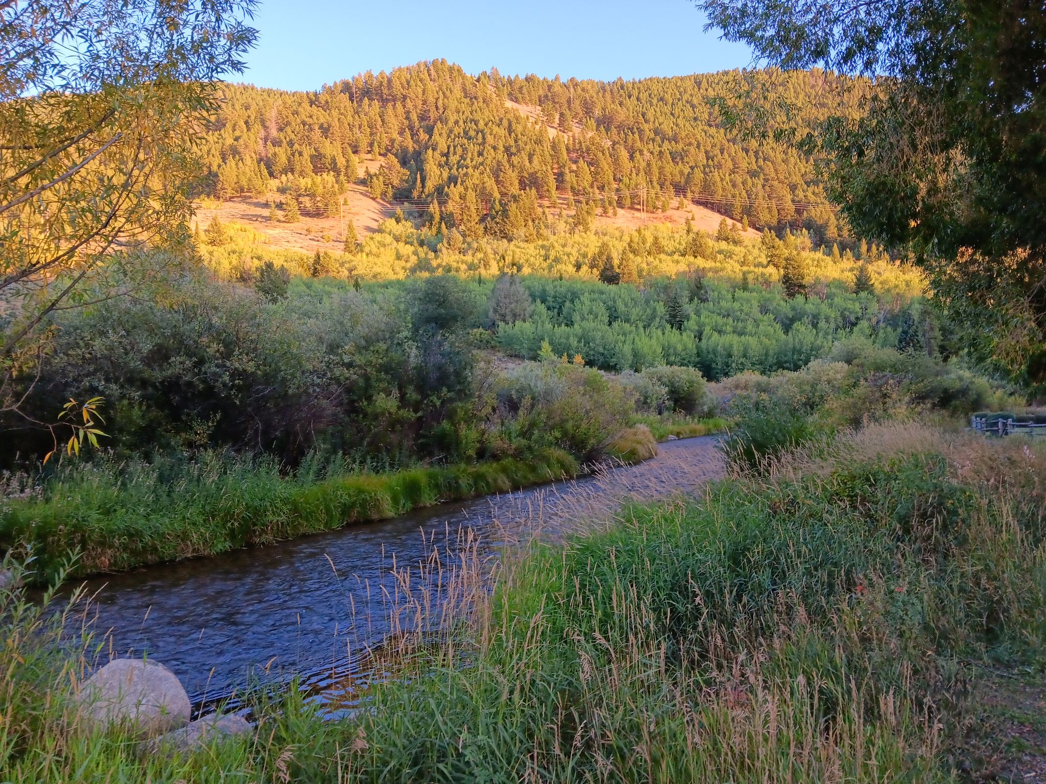 River flowing through green banks with a sunlit, forested hill beyond. - Sink or Swim Trail – Sink or Swim Trail loop from Adam's Canyon Trailhead