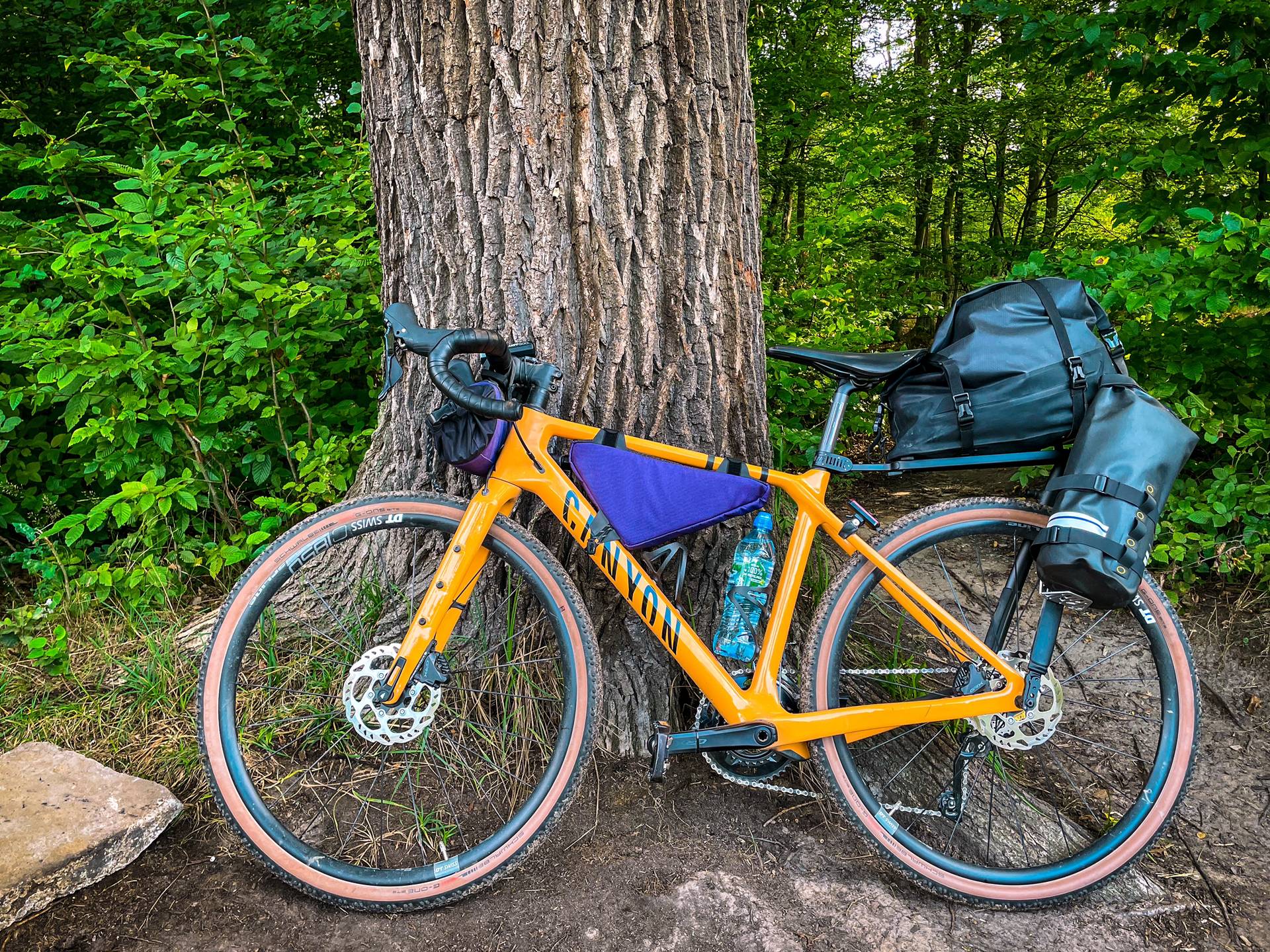 my back fully loaded for overnighter bikepacking. Bike is yellow canyon and tailwind