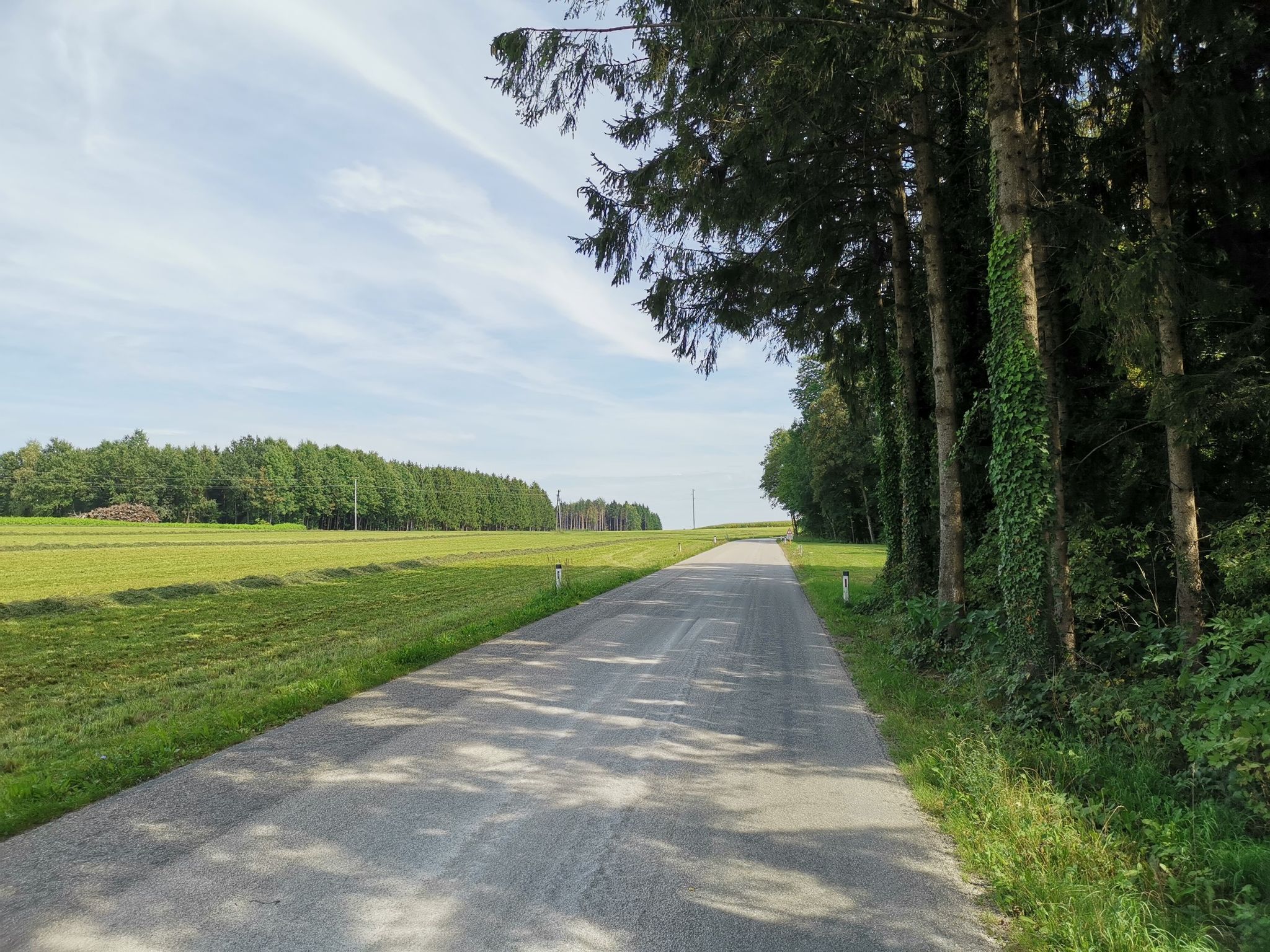 Auf schönen Nebenstraßen Richtung Senftenegg