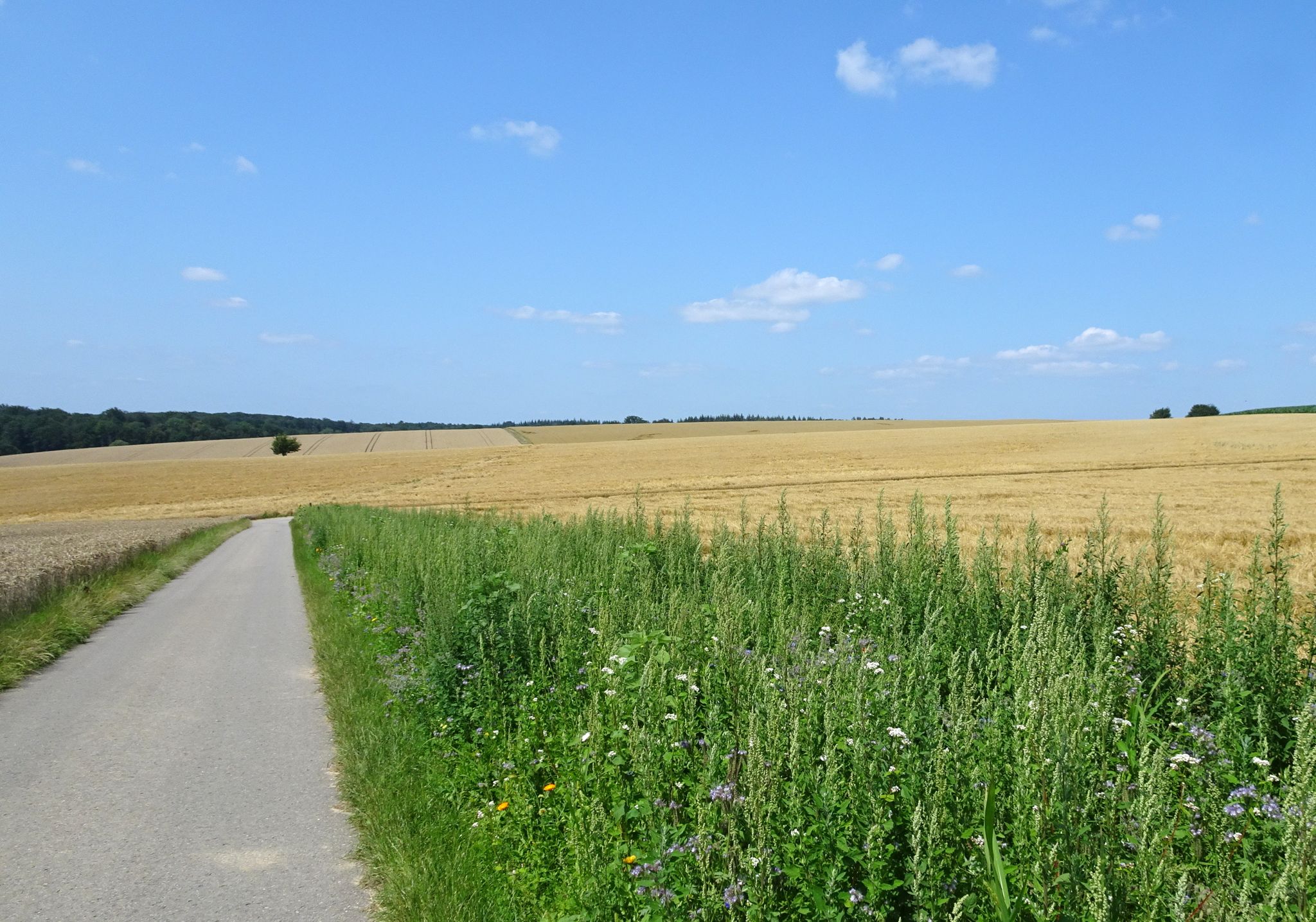 Stapfenhöhe