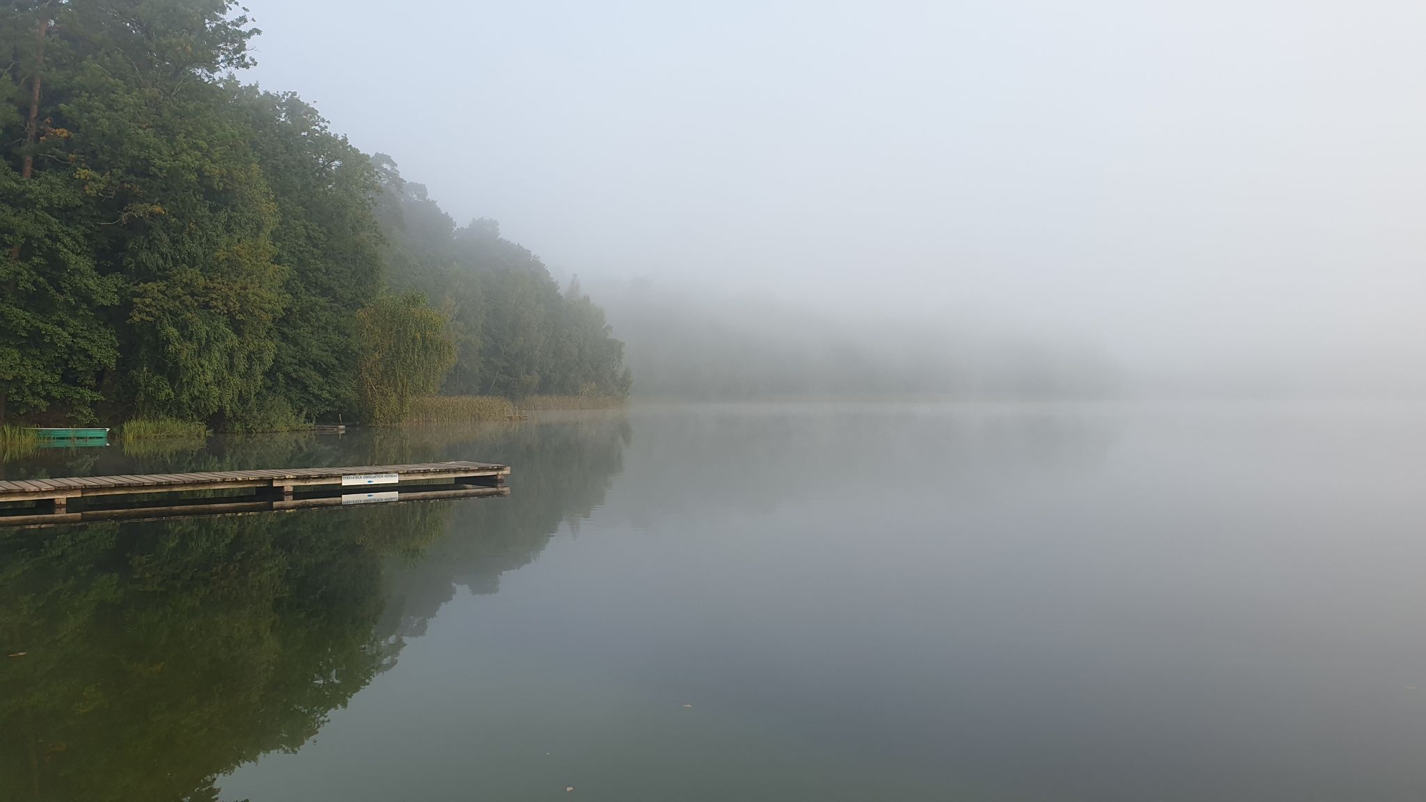 Foggy morning at Okonin lake