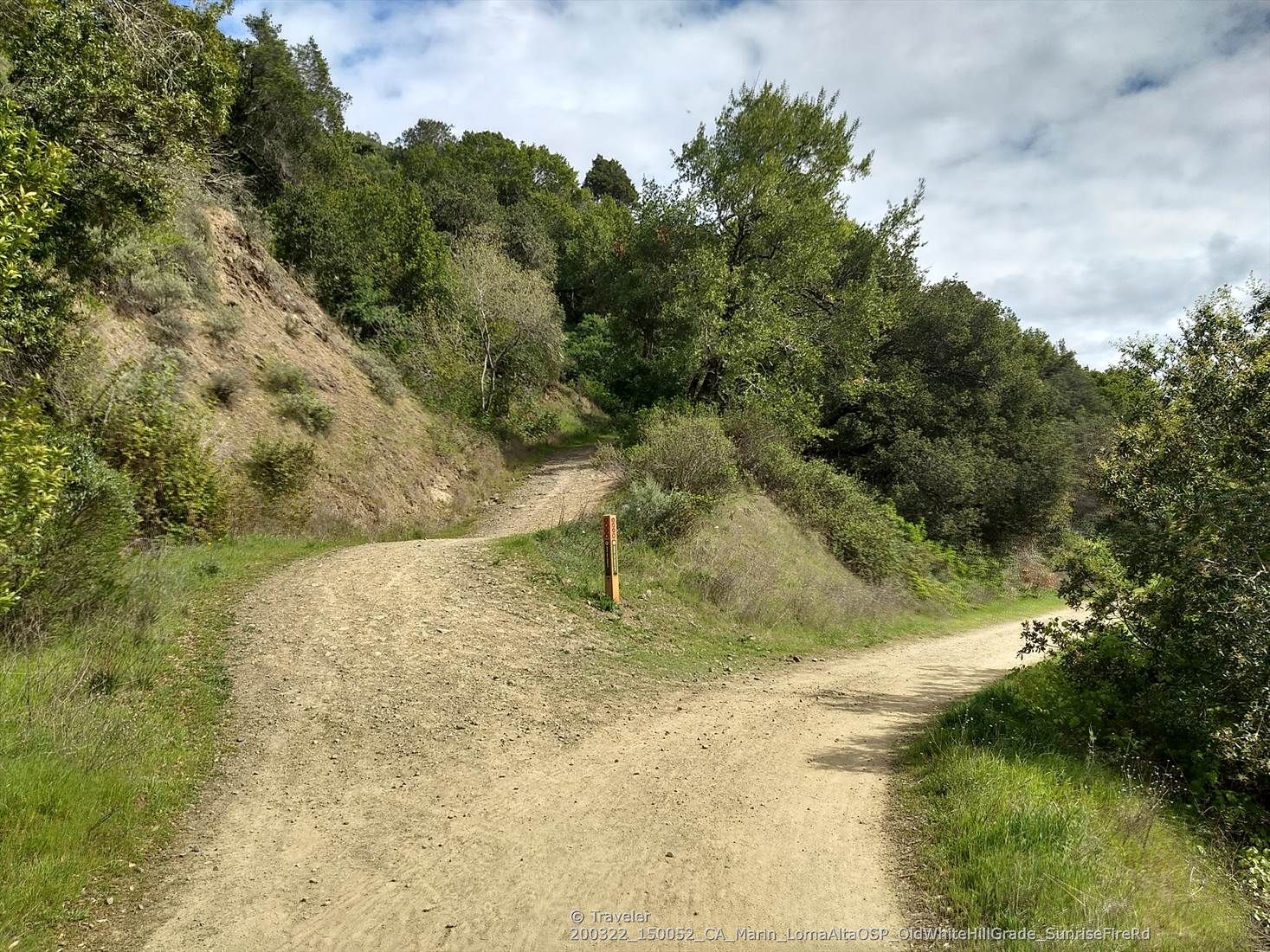 Fork in a dirt trail, with green hills and trees under a cloudy sky. - Loma Alta Peak Trail