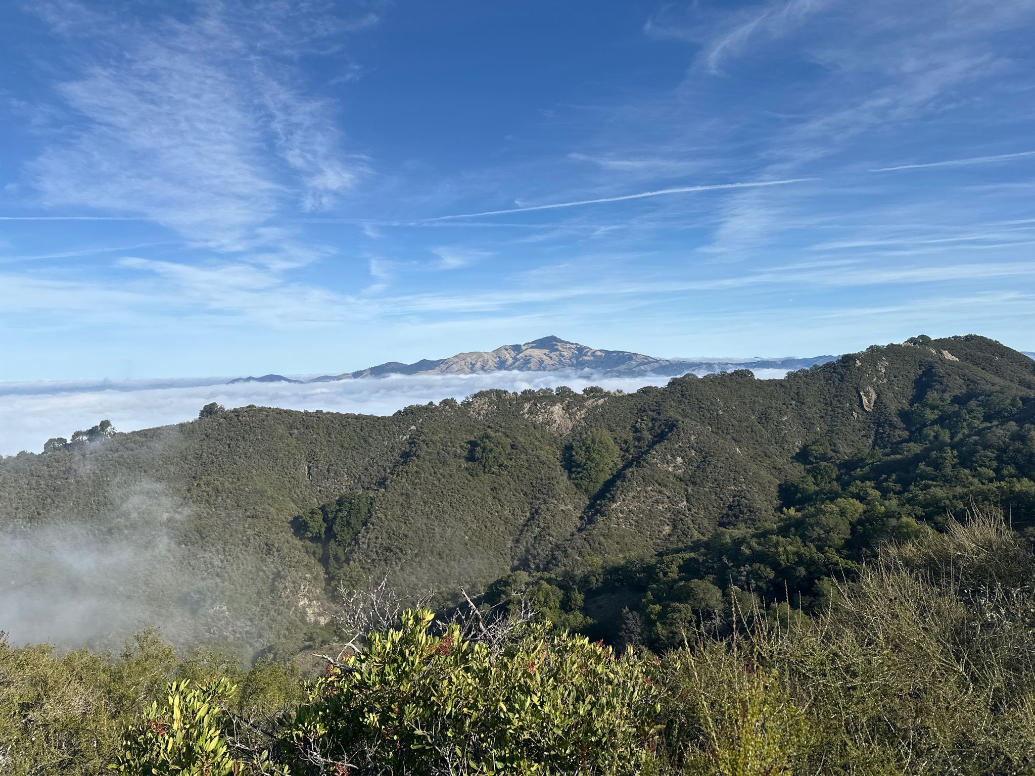 Green mountain ridges rise above a cloud inversion under a clear blue sky. - Bollinger Creek to Calaveras Ridge Trail Loop