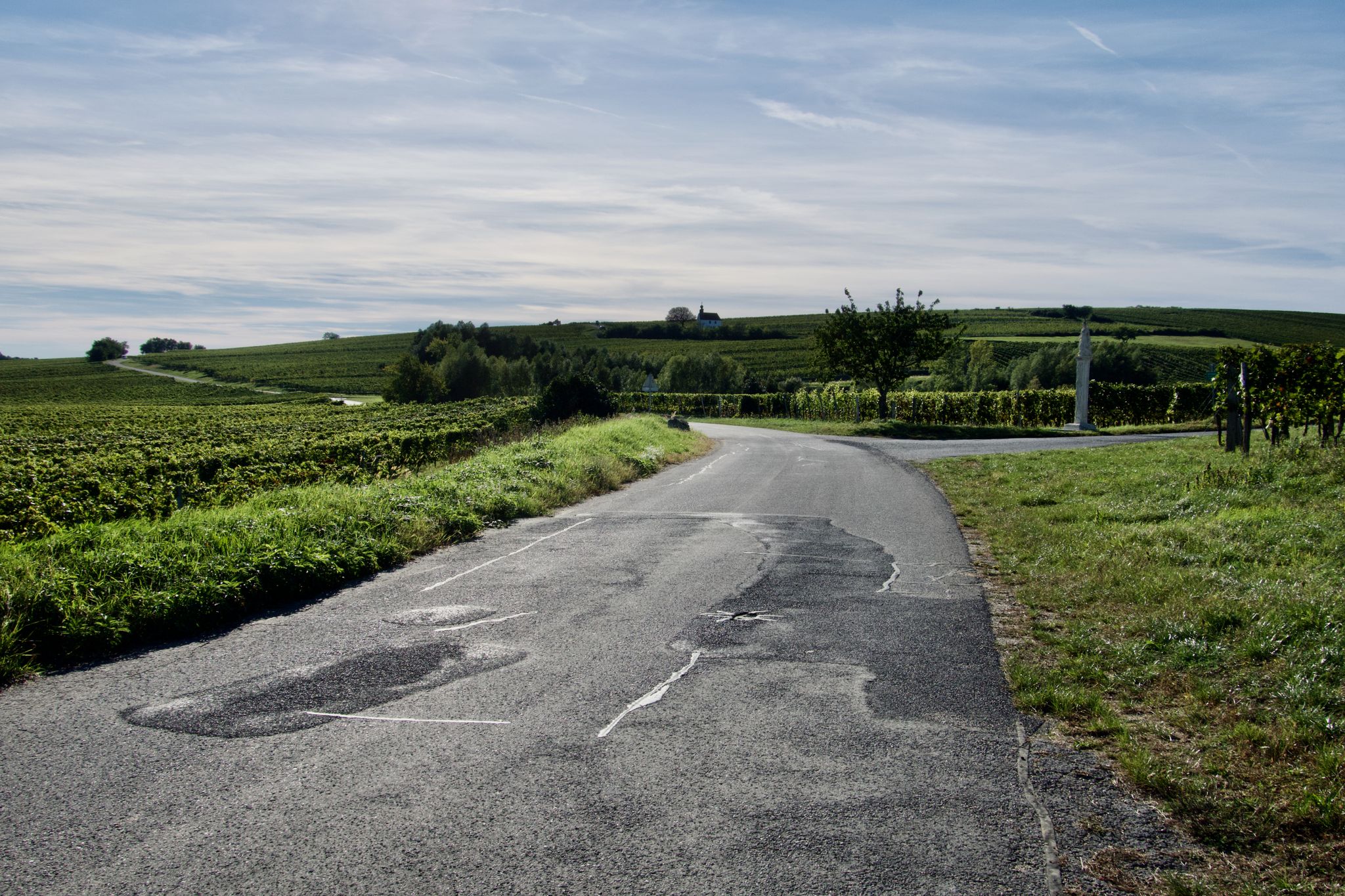 Neckenmarkter Weinberge