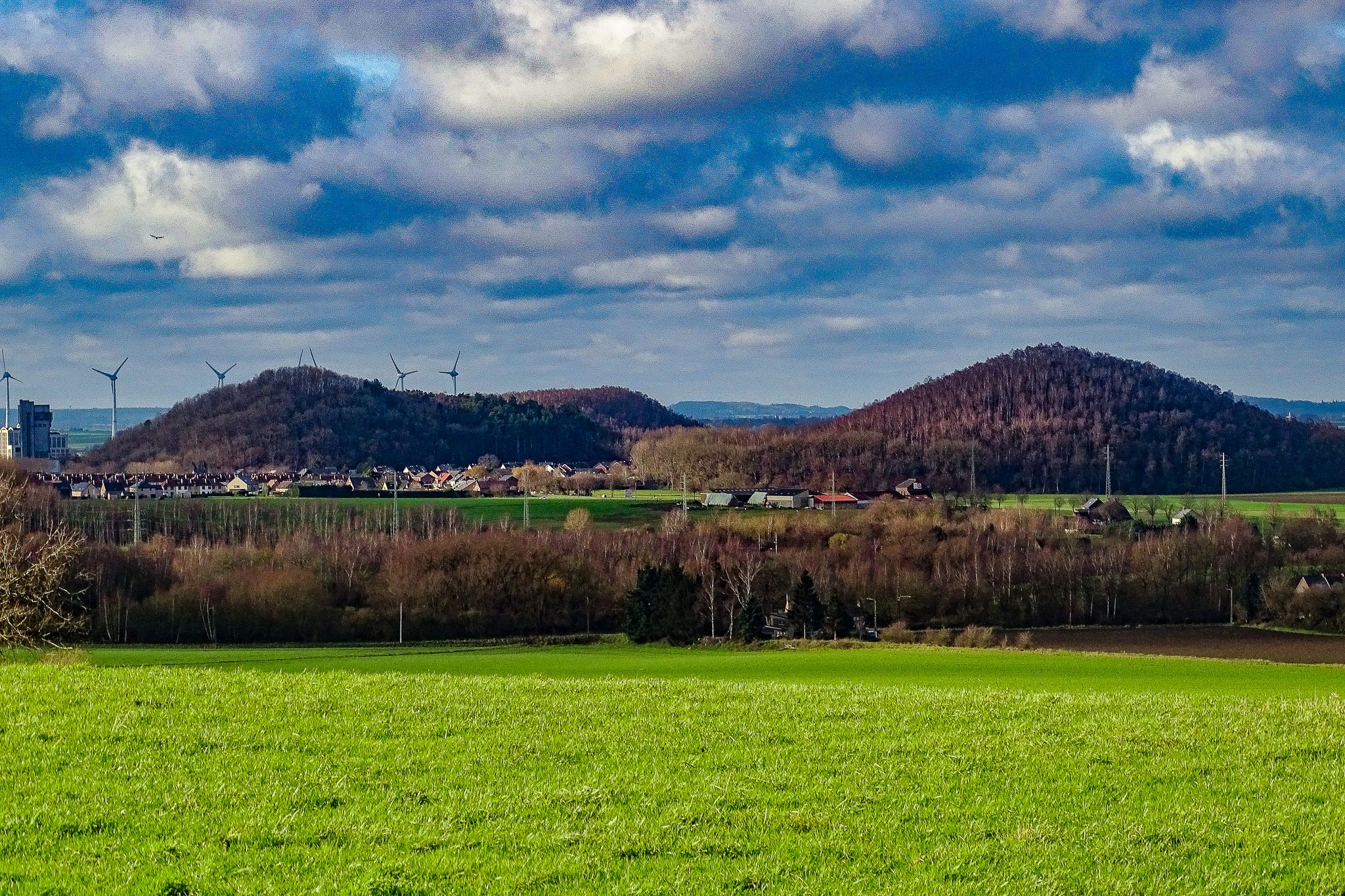Les terrils du Centre