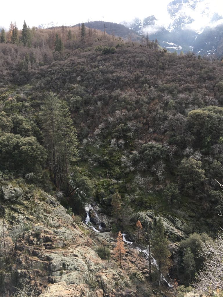 Waterfall cascading down a steep, forested mountain slope with distant snowy peaks. - Ladybug Trail