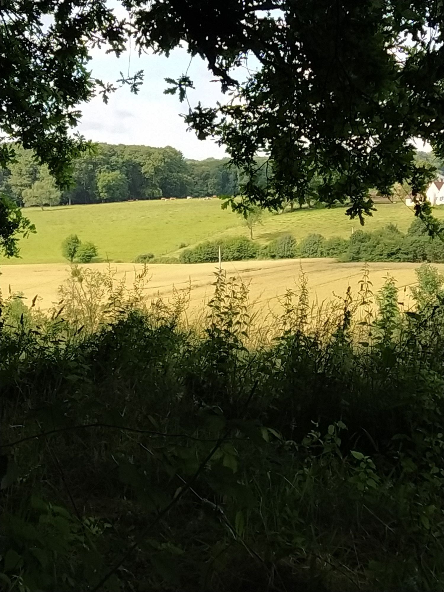 très vallonné, on se croirait en basse montage 😁