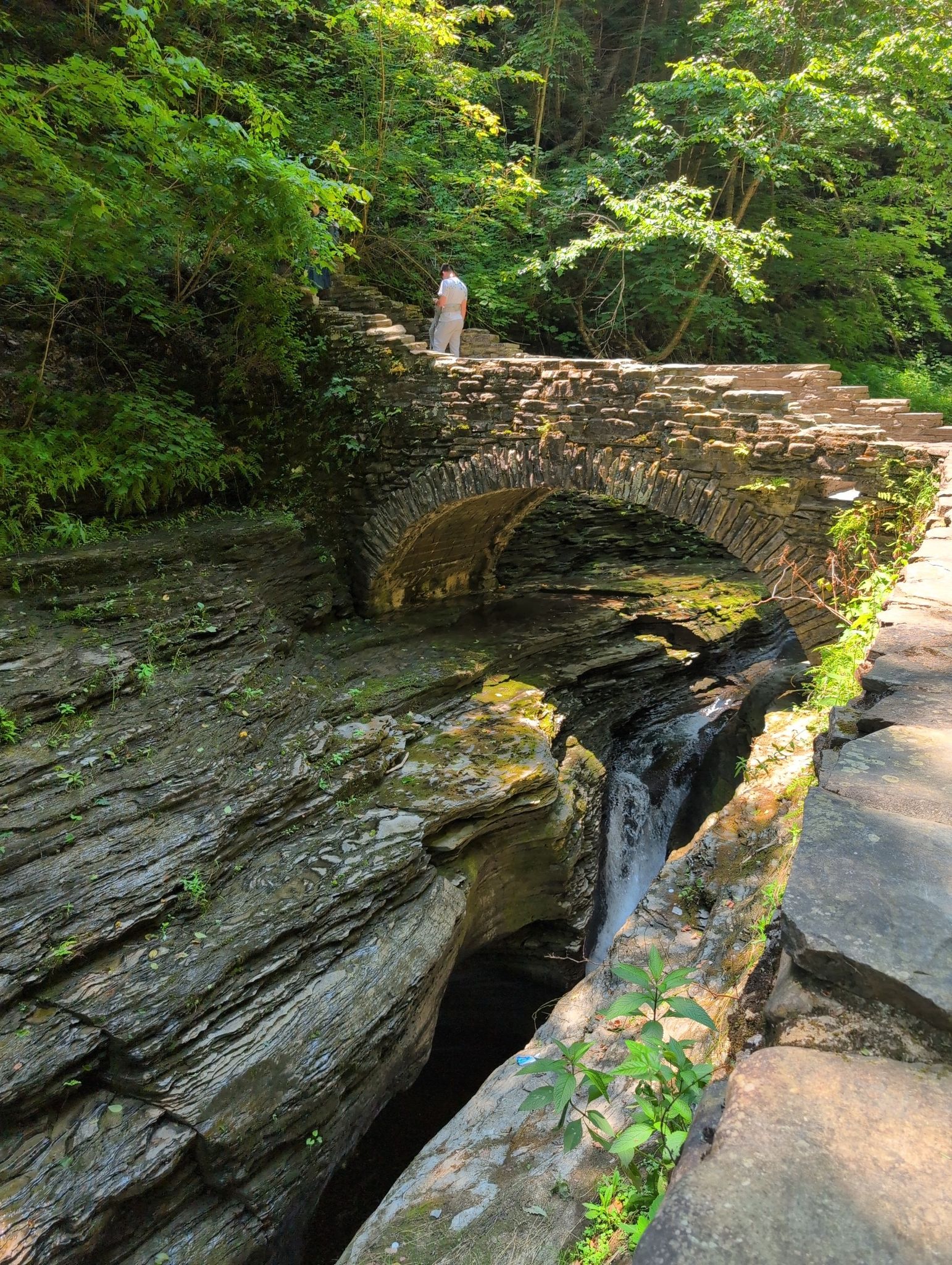 Stone bridge over a deep gorge with flowing water, lush green foliage. - Glen Creek loop from Watkins Glen