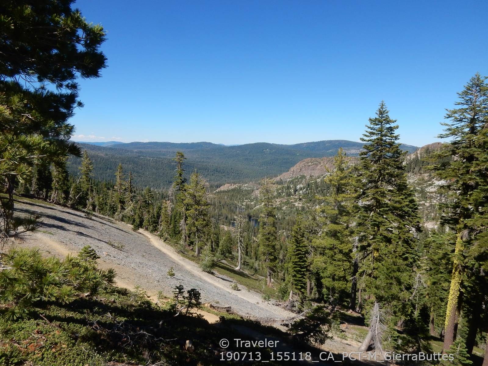 Wide mountain vista with a dirt road, pine forests, and distant peaks. - Sierra Buttes Lookout via Tamarack Connector and Sierra Buttes Trail