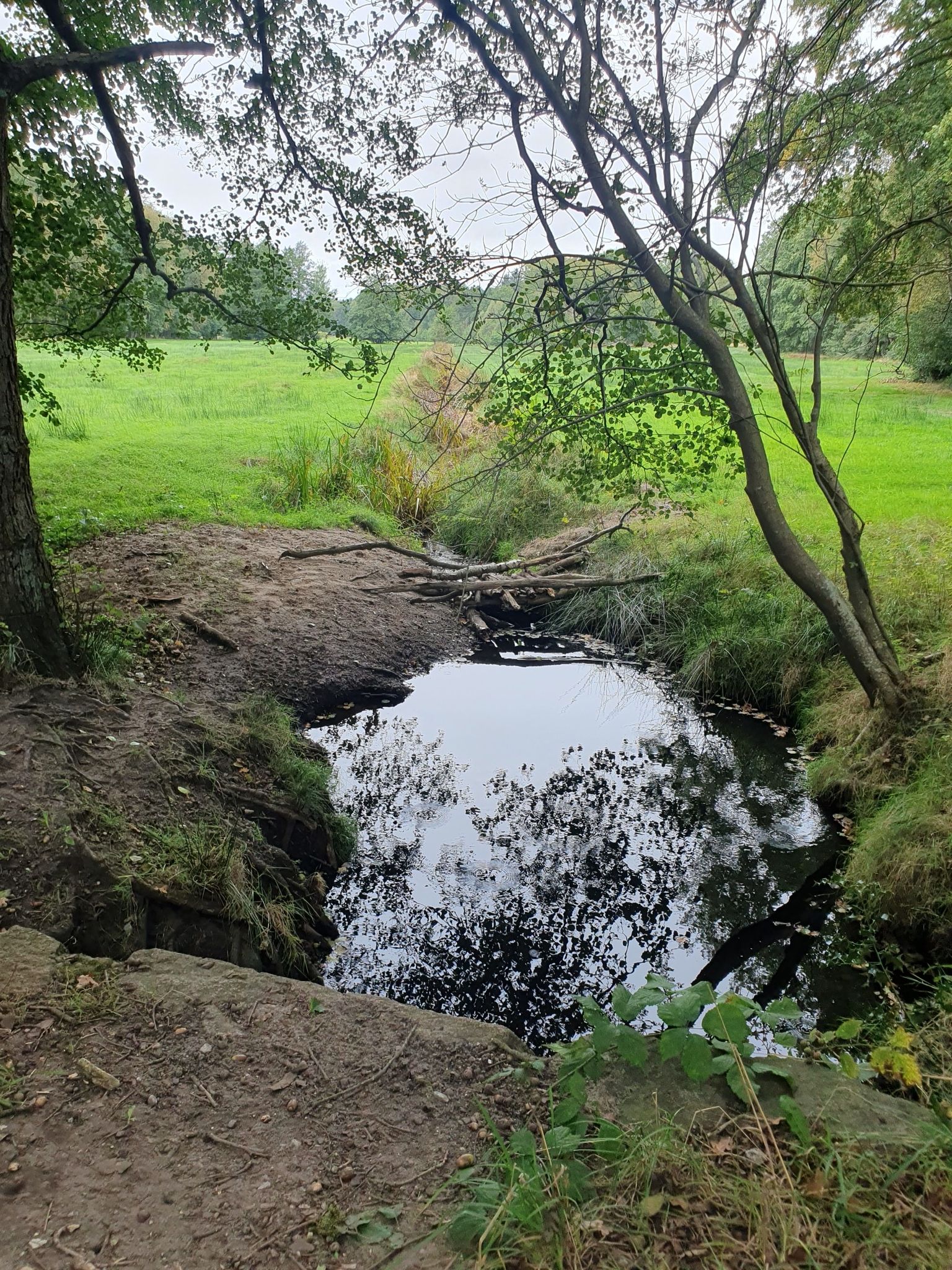 Die Oste, mehr Feuchtgebiet als Fluß