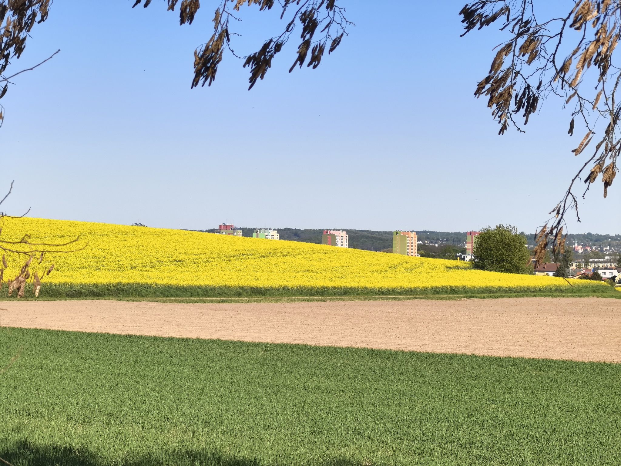 Racibórz.