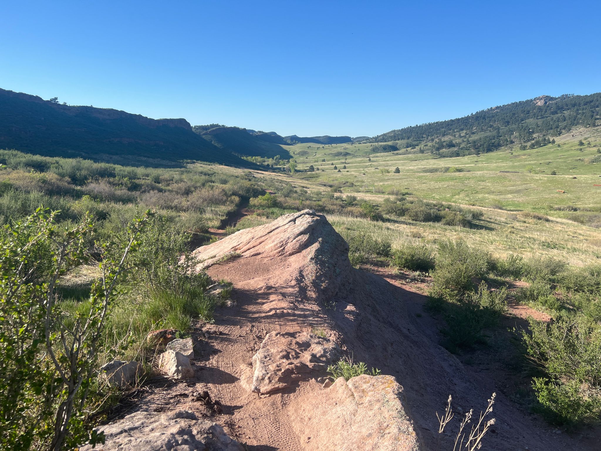 Rocky dirt path leads through a green valley under a clear blue sky. - East Valley Trail & South Valley Trail loop