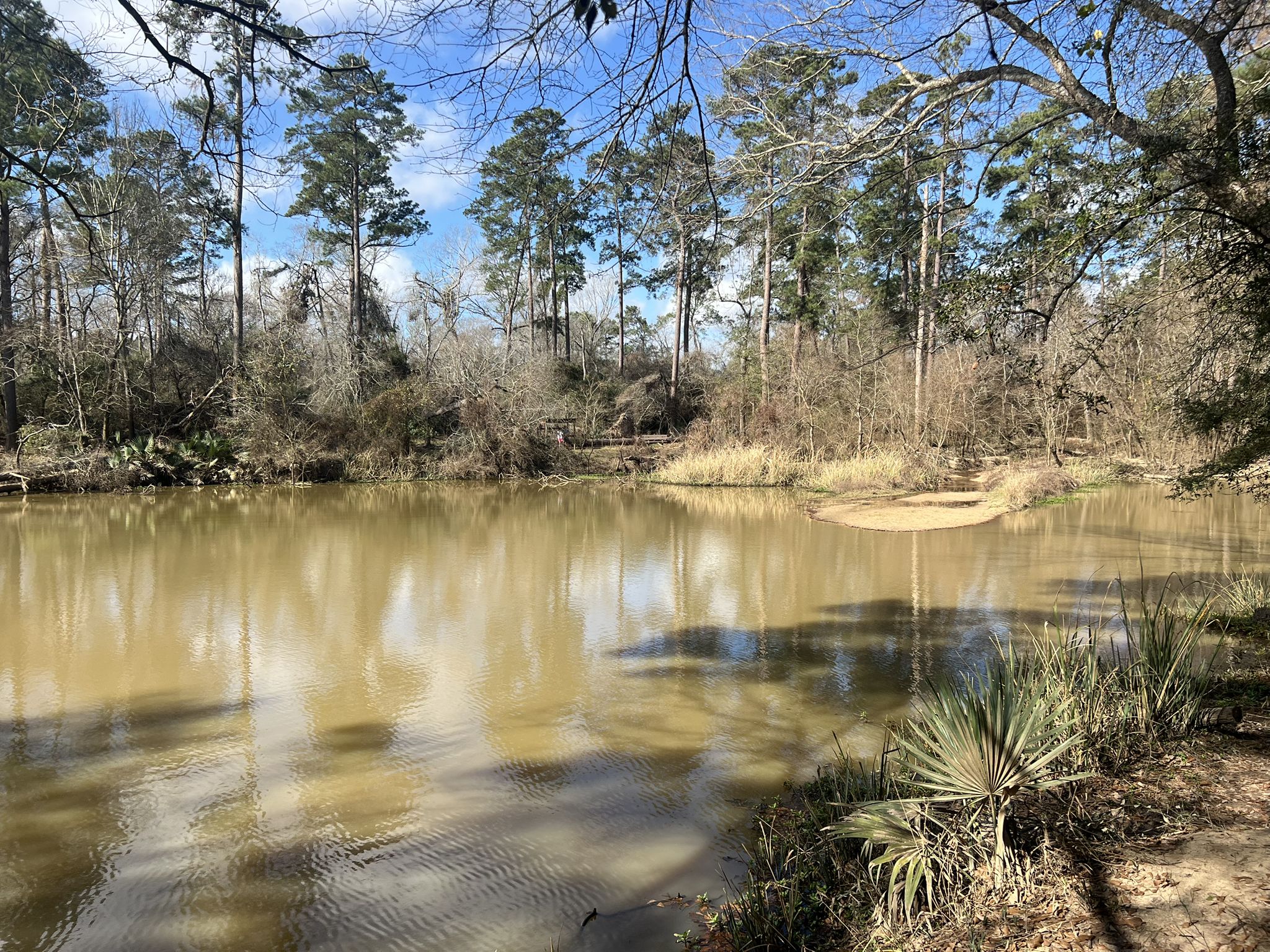 Calm muddy river reflecting tall trees under bright daylight. - Flintridge Loop Trail