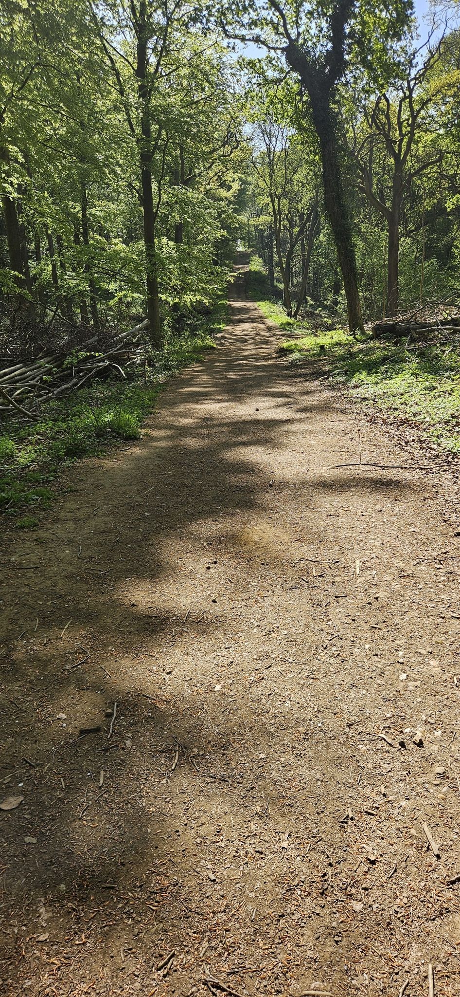 decent path at last!
