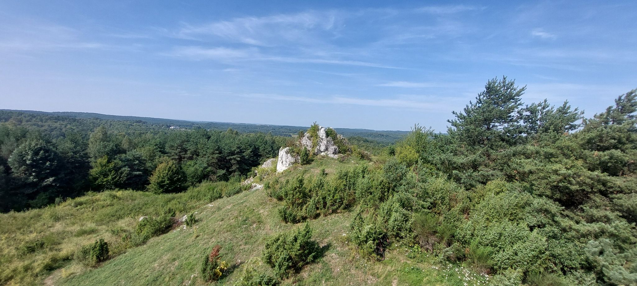 bukowie krzyz
