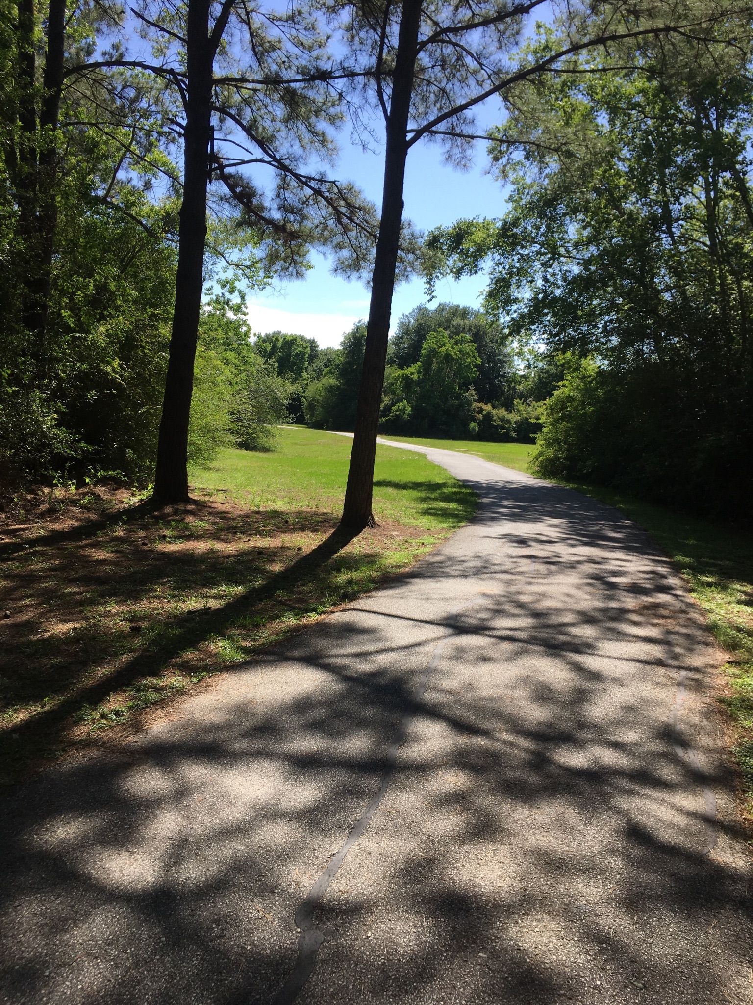 Sunny paved path winding through green trees and an open grassy field. - George Bush Park – Nice view of the canal loop from Hazel Pattison Elementary