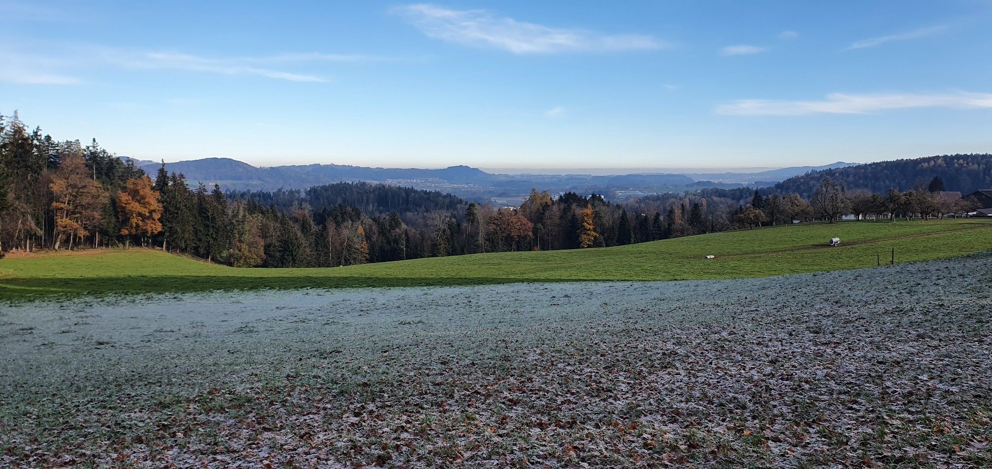 Aussicht Richtung Bodensee
