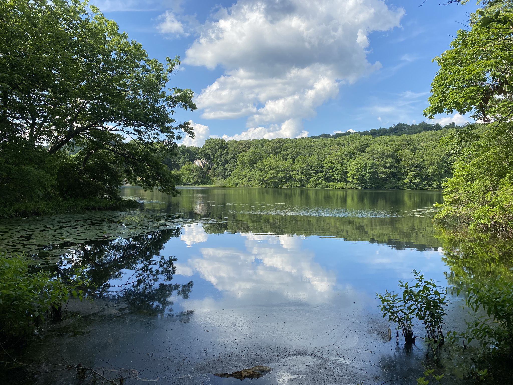 Calm lake reflecting trees and clouds, surrounded by lush green foliage. - Grand Castle Loop