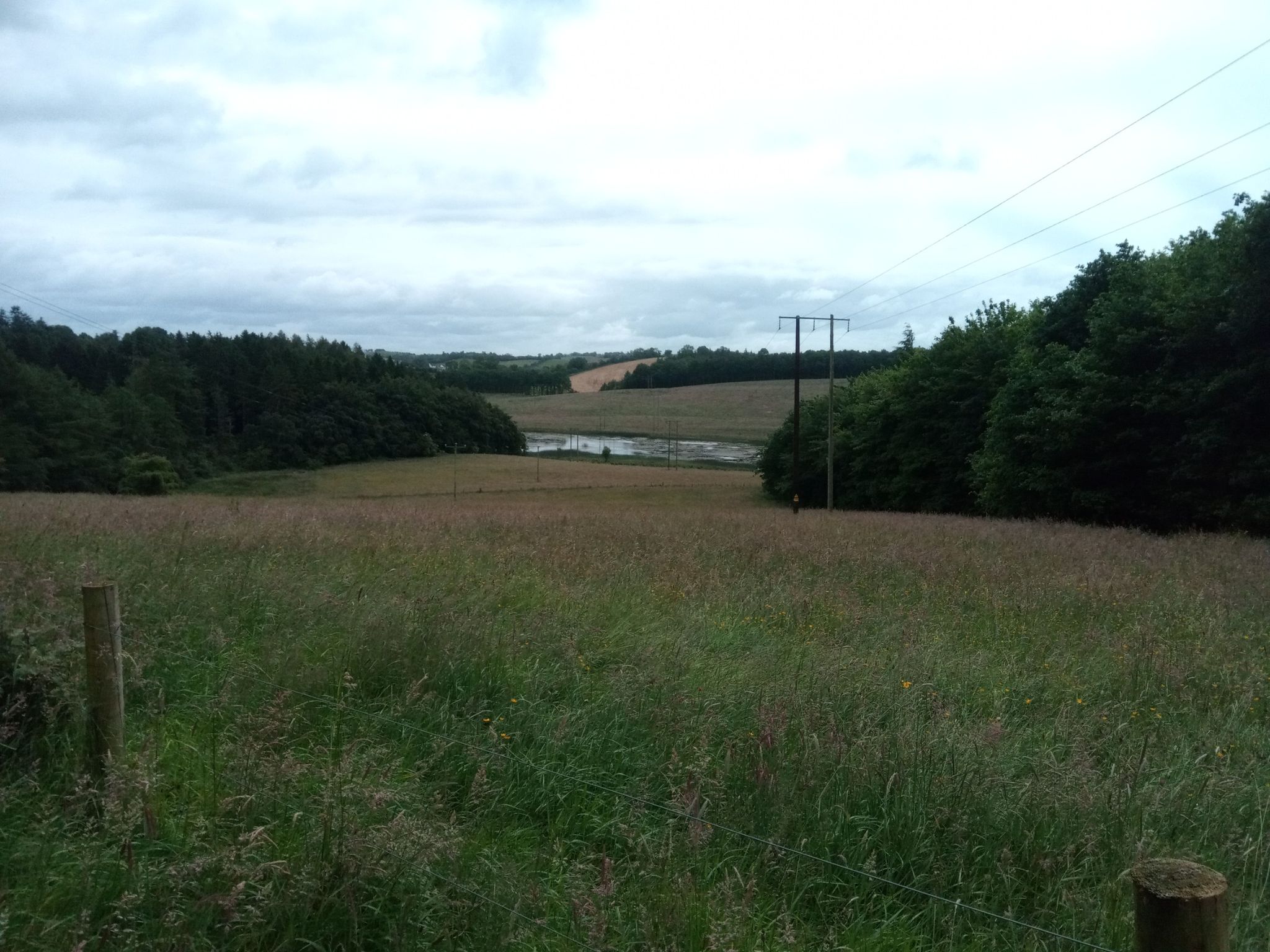 Rossmore Forest Park