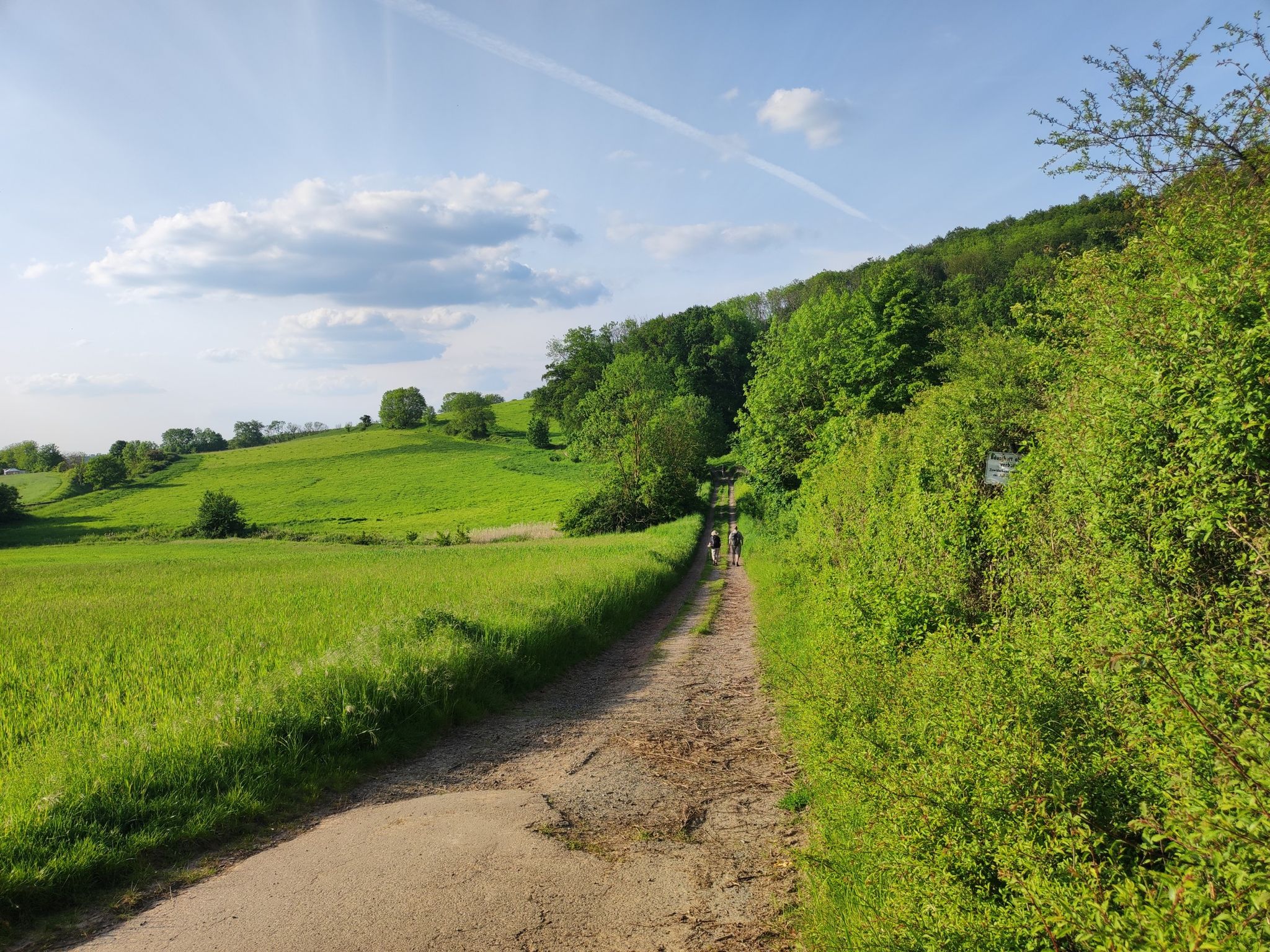 oh wie schön ist es am Wald und an Wiesen