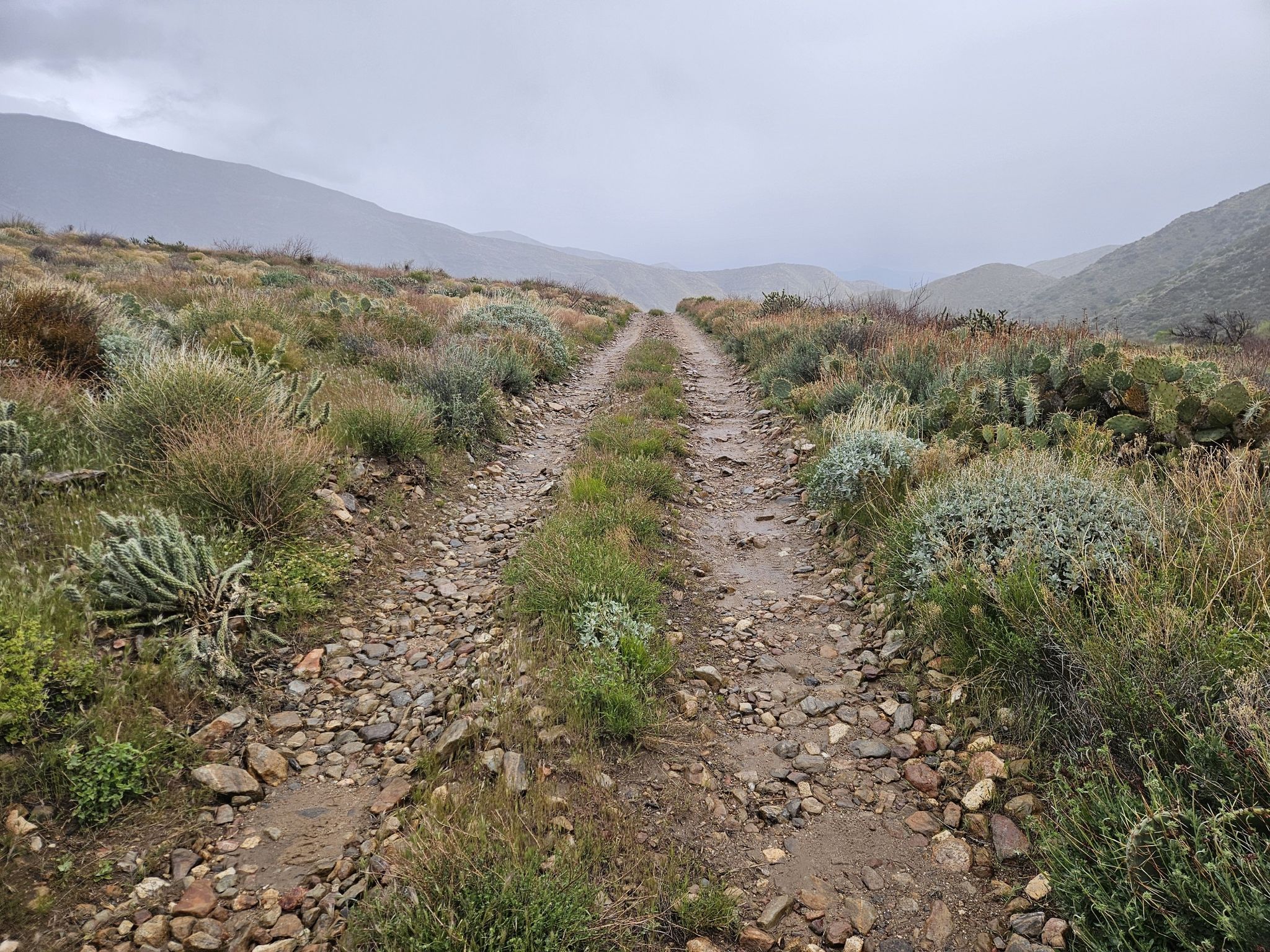 Rocky dirt road through sparse hills under a cloudy, overcast sky. - Oriflamme and Chariot Canyon Trail