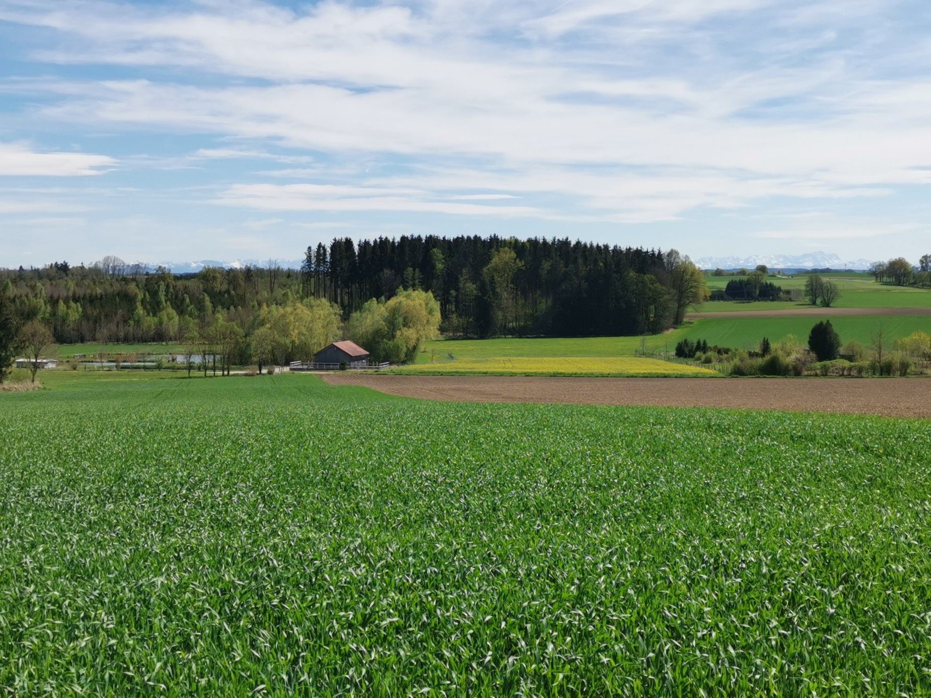 Alpenpanorama bei Föhn