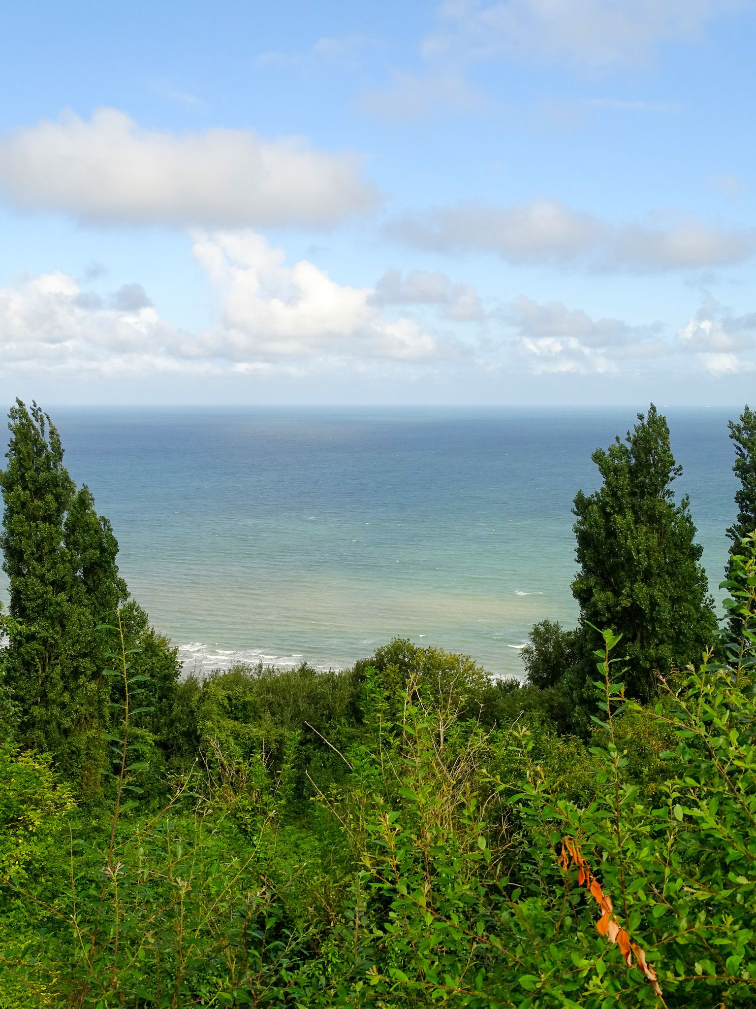 11.14: Falaise des Vaches Noires, Houlgate