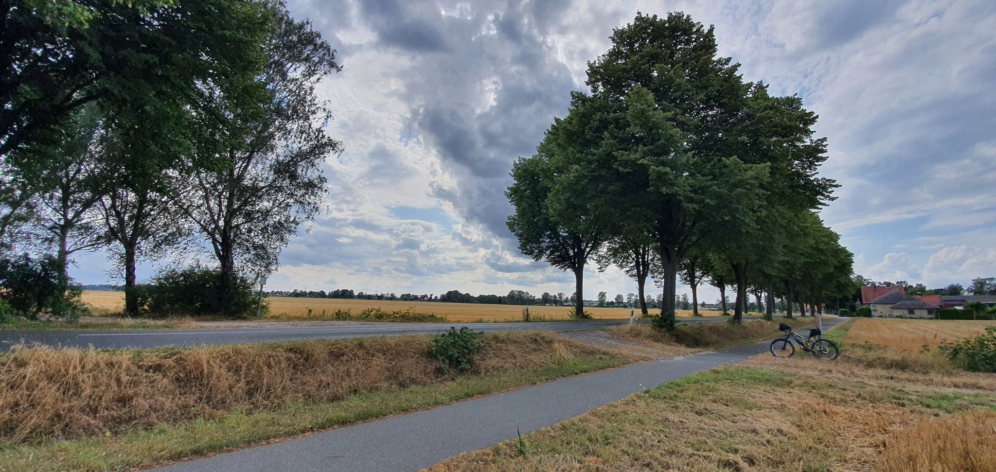 hier links in den Weg reinfahren - gerade aus geht's nach Bergfeld