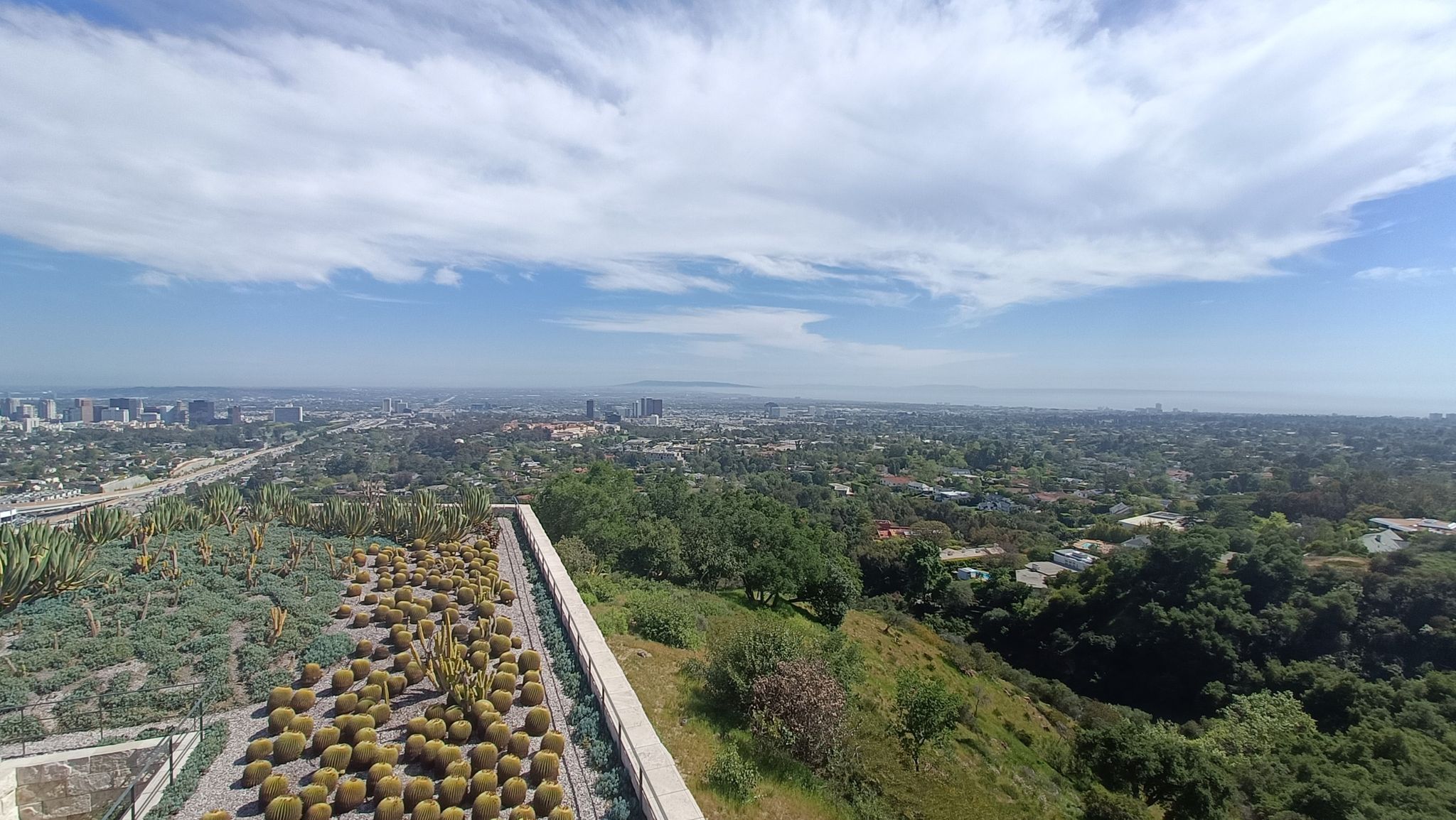 Cactus Garden