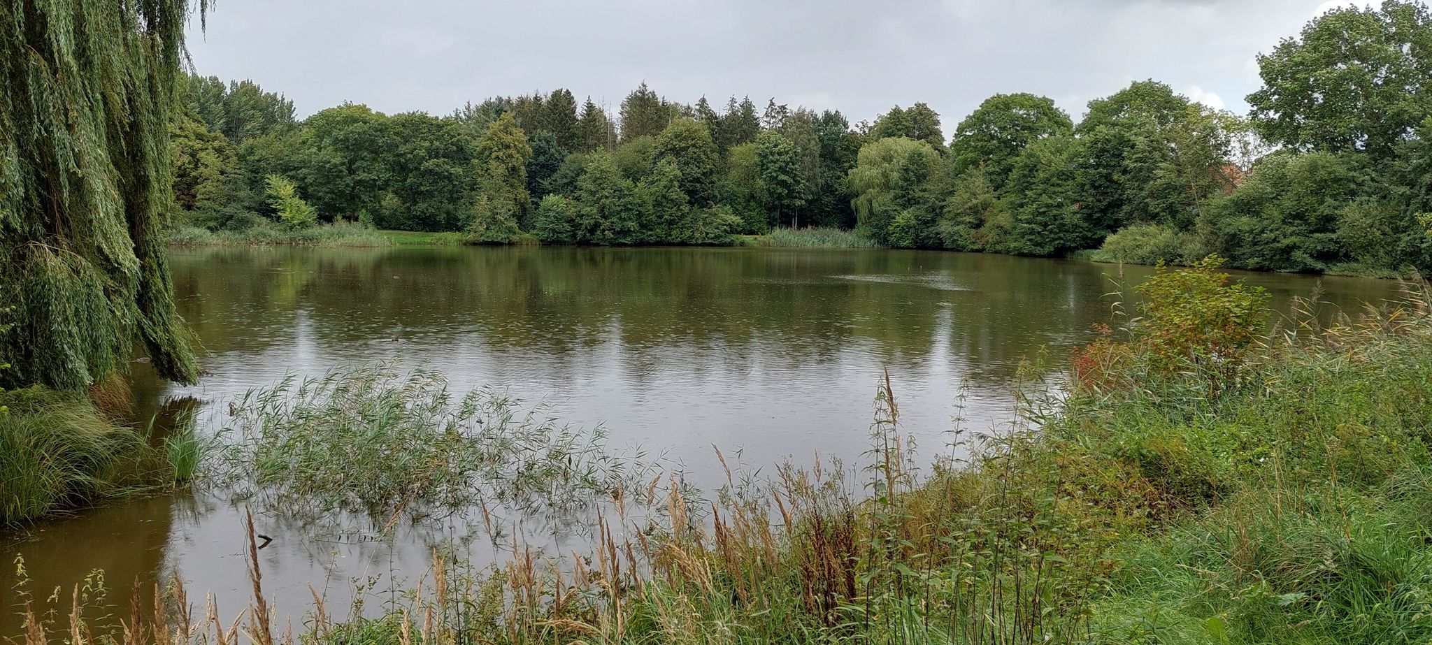 Der Stadtteich