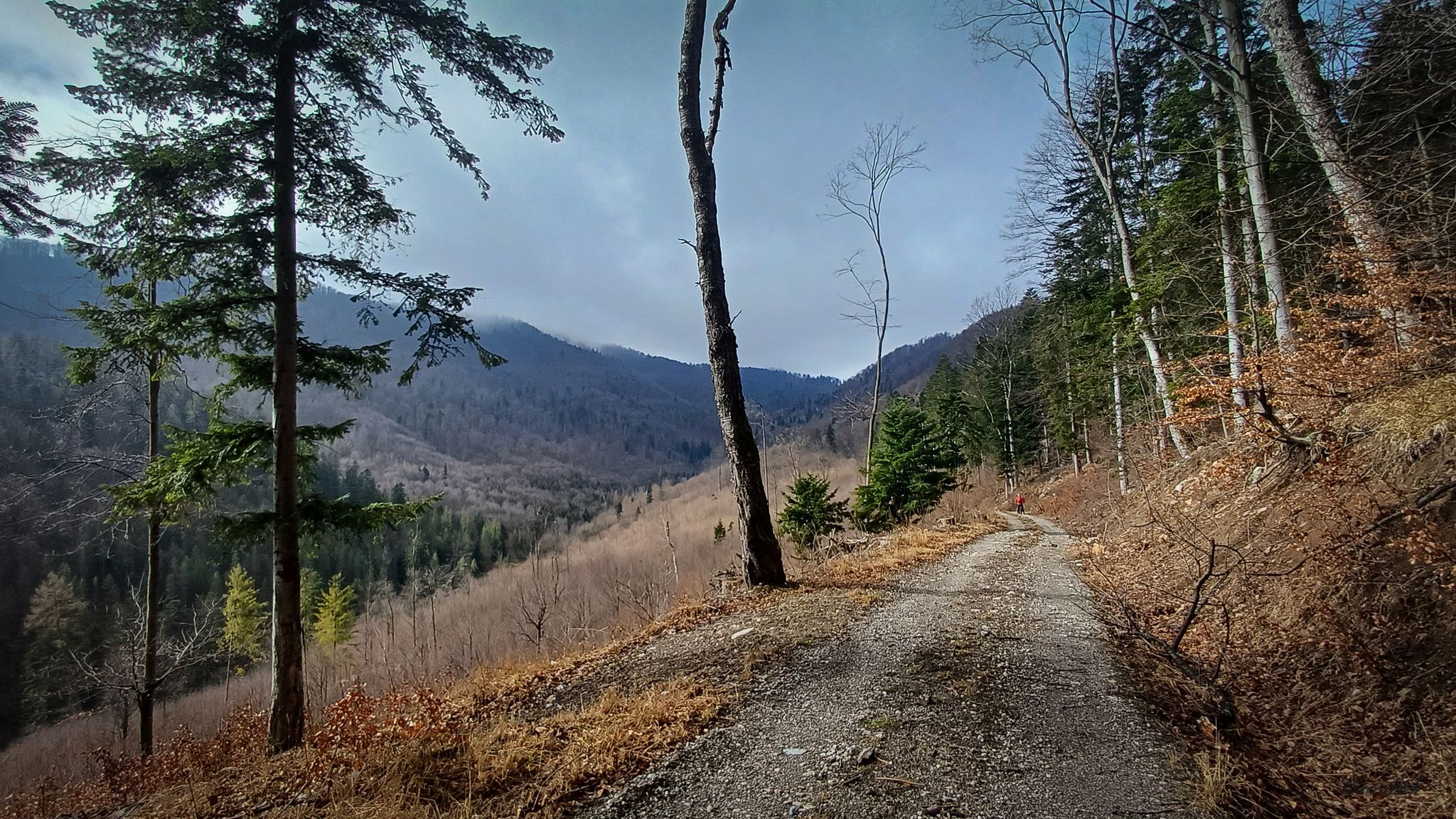 Nad potokiem Holubnica.